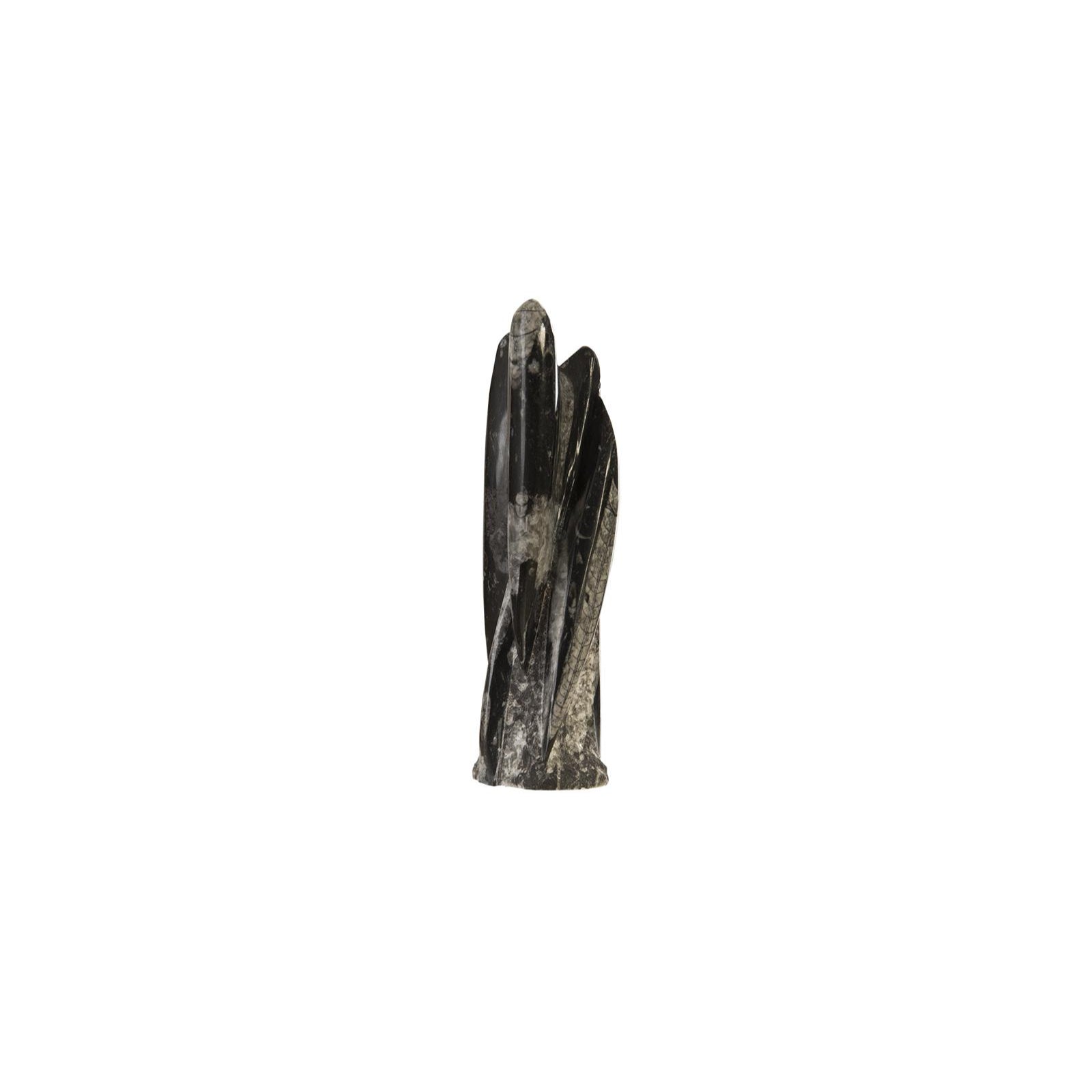 Fossilized Squid Sculpture