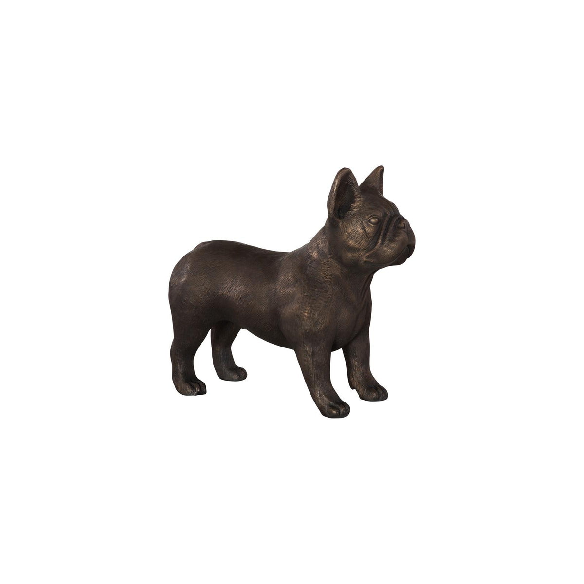French Bulldog by Phillips Collection