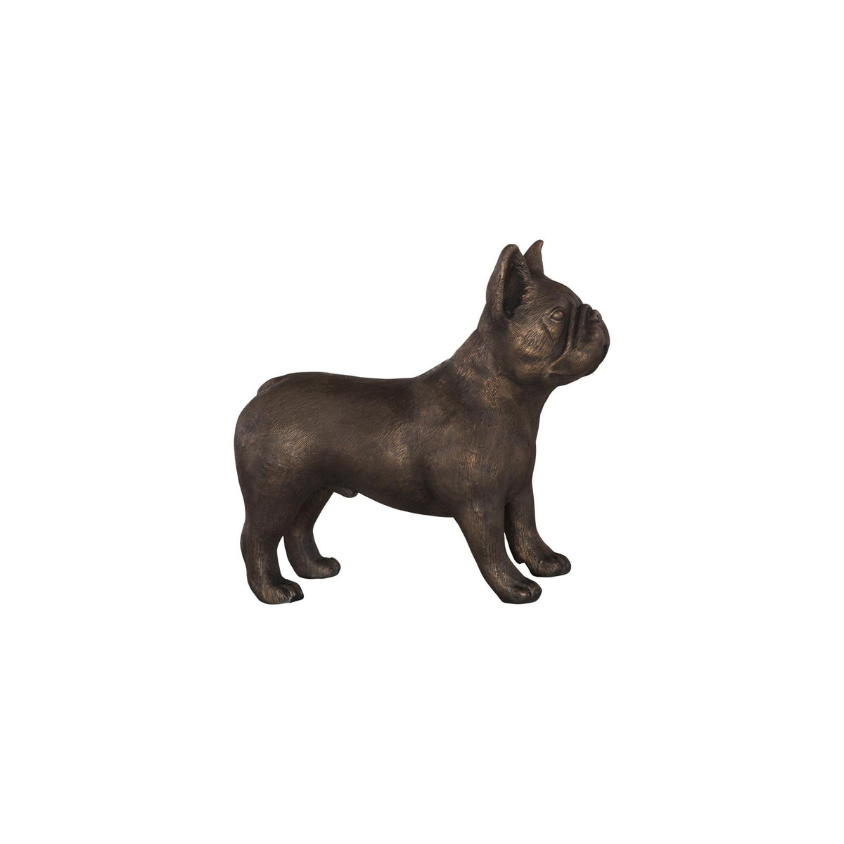 French Bulldog by Phillips Collection