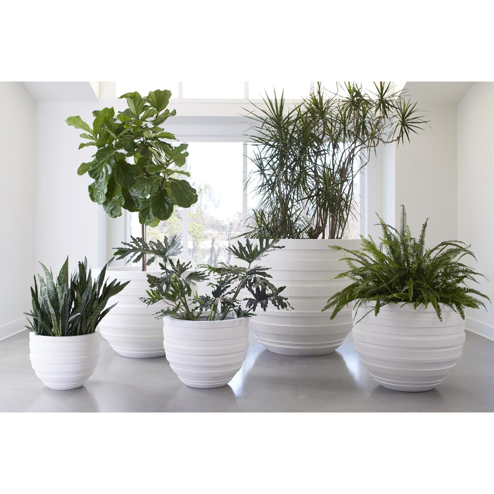 June Planter