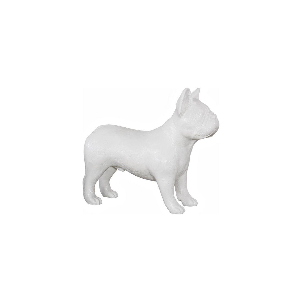 French Bulldog by Phillips Collection
