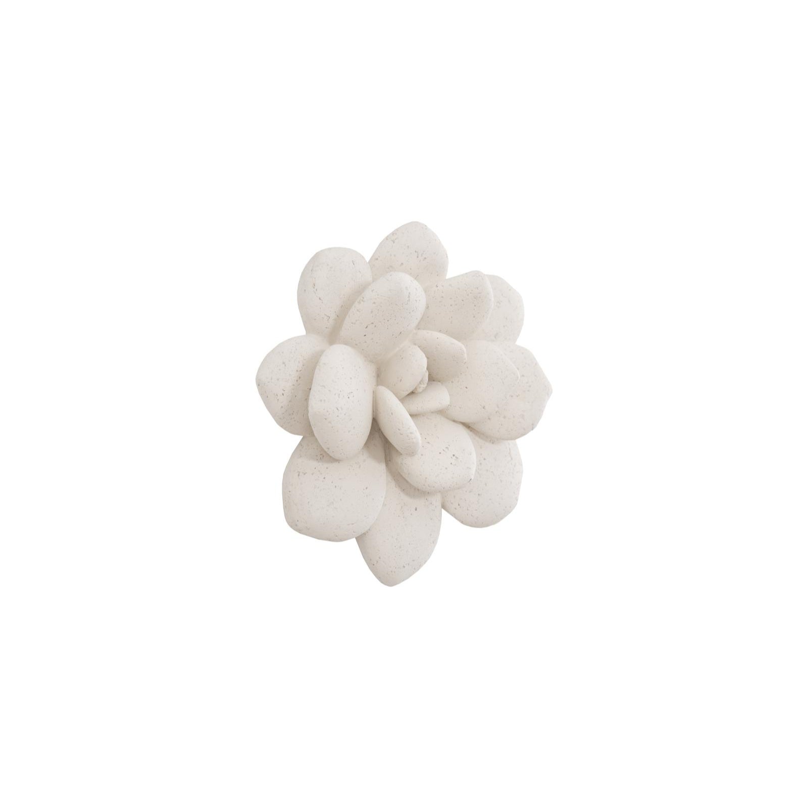 Laui Succulent Wall Art