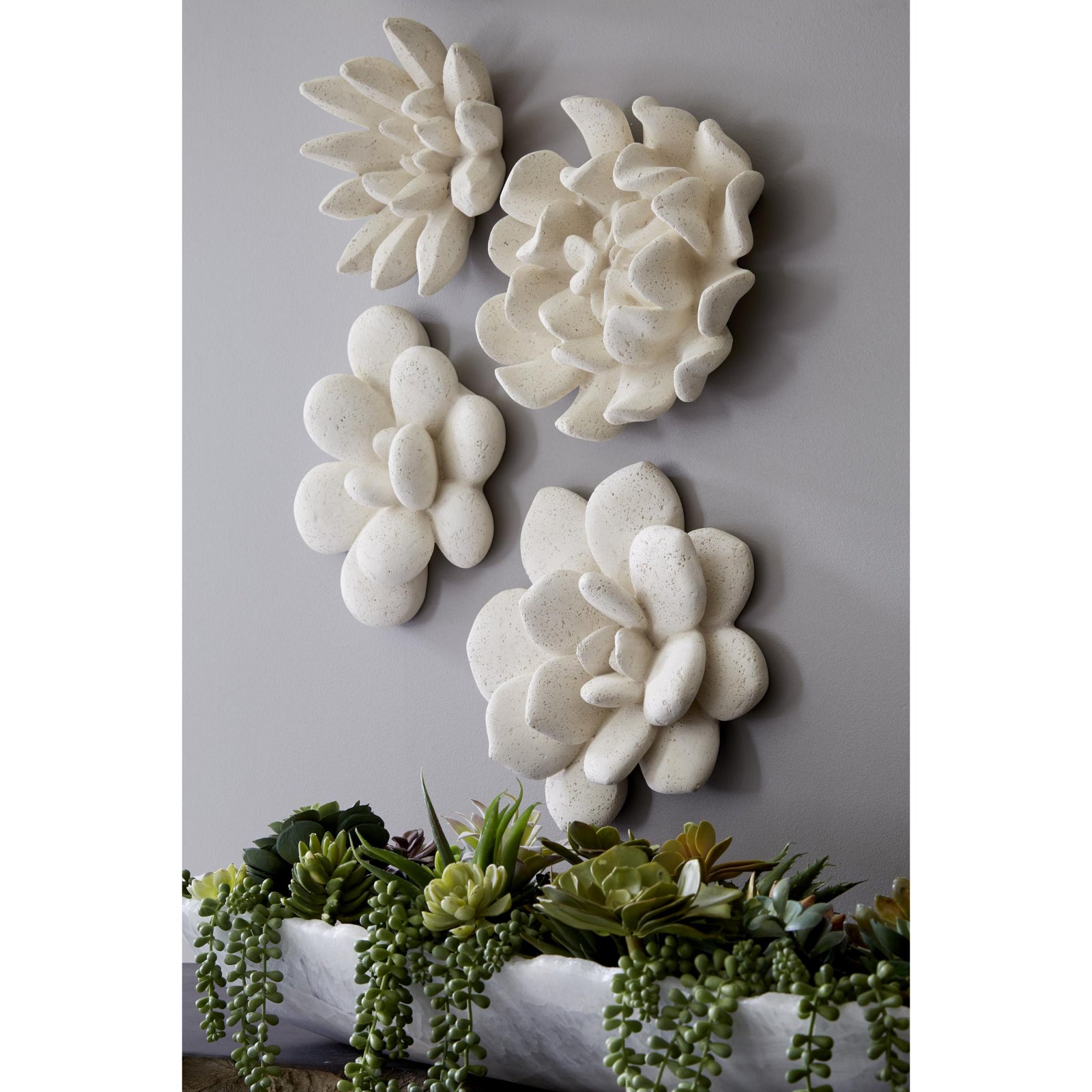 Laui Succulent Wall Art