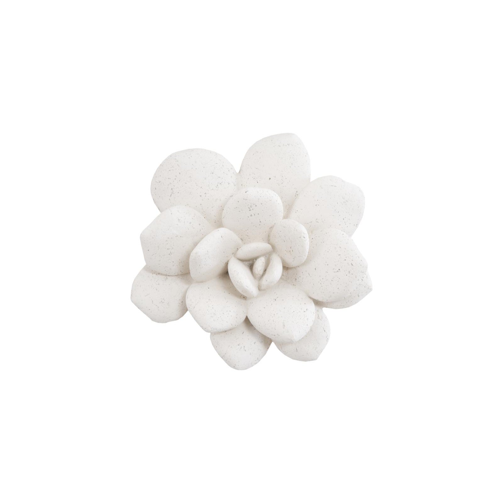 Laui Succulent Wall Art