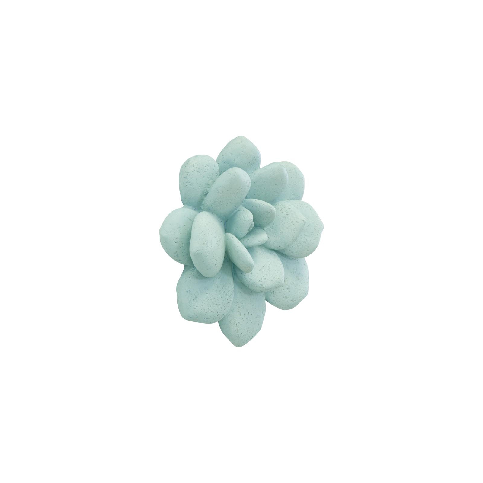 Laui Succulent Wall Art
