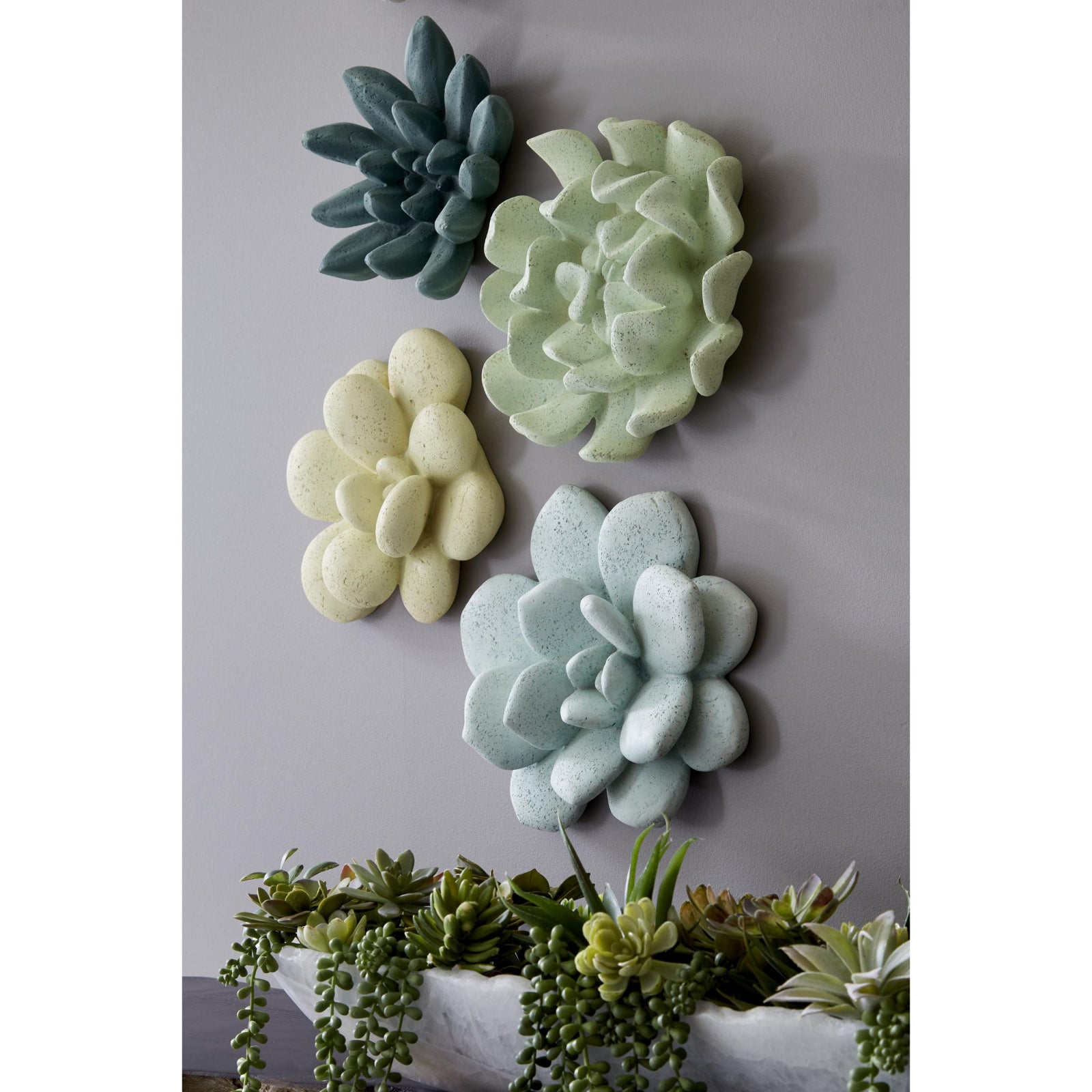Laui Succulent Wall Art