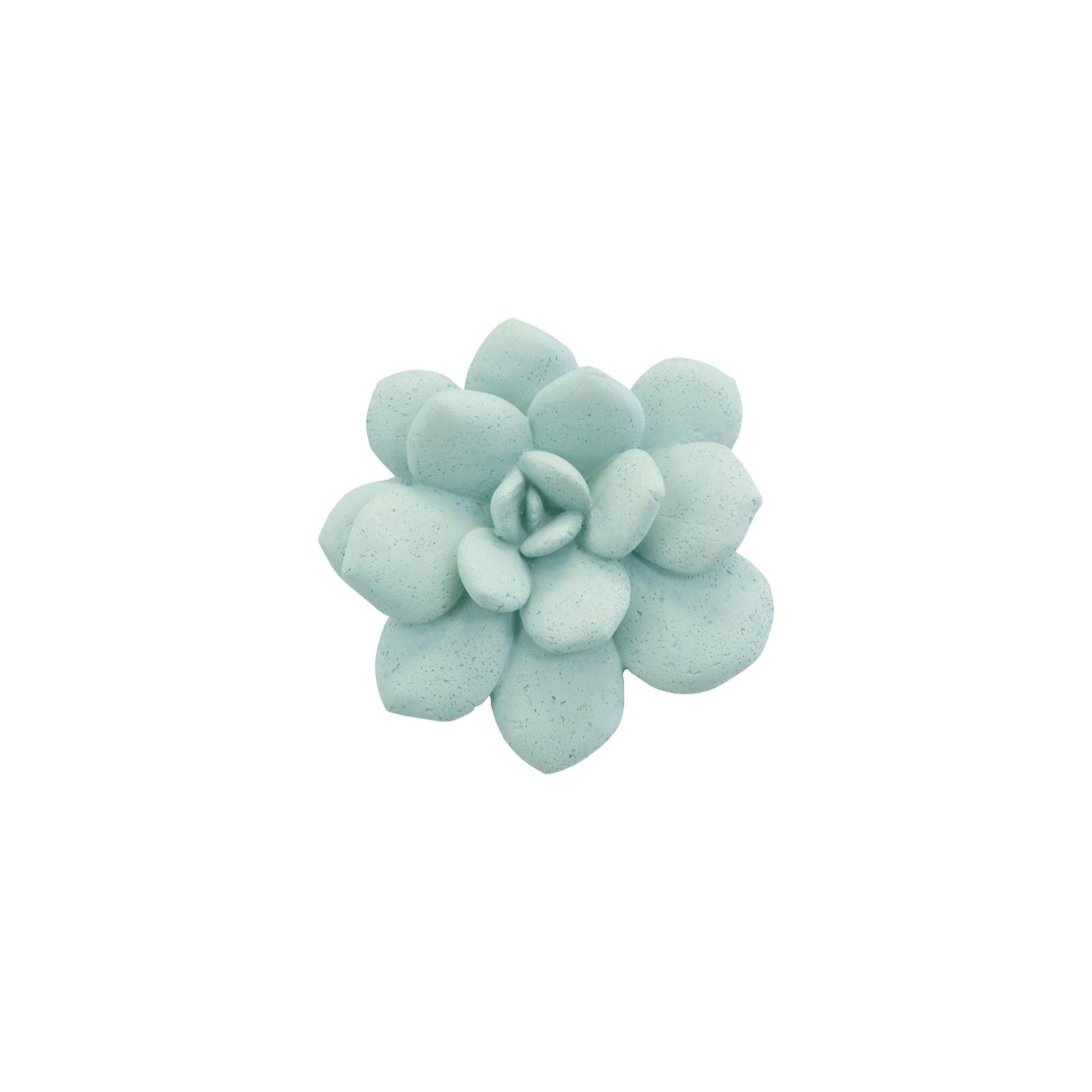Laui Succulent Wall Art