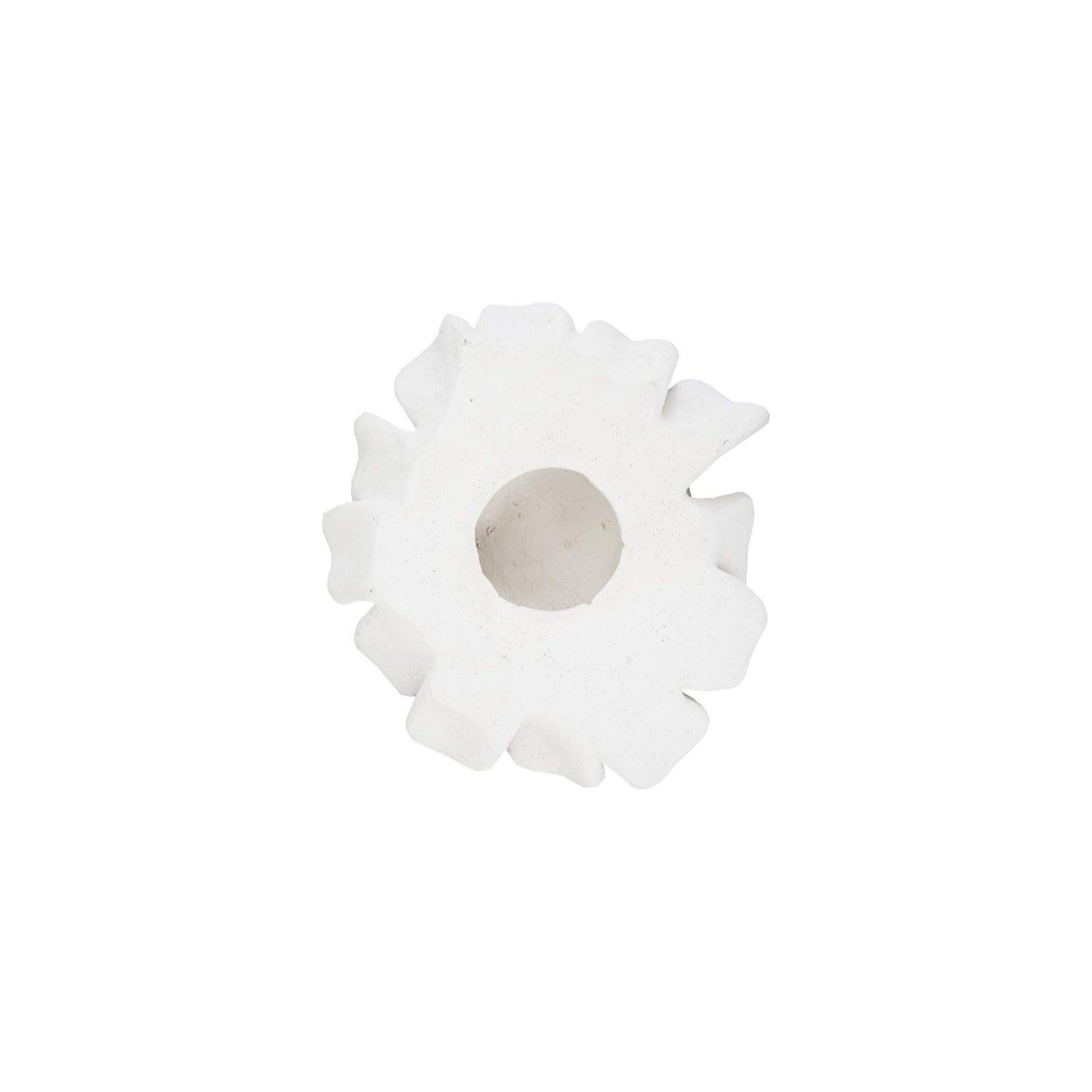 Topsy Turvy Succulent Wall Art