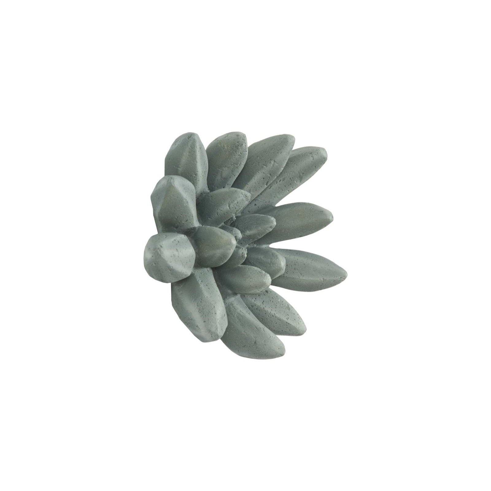 Compactum Succulent Wall Art