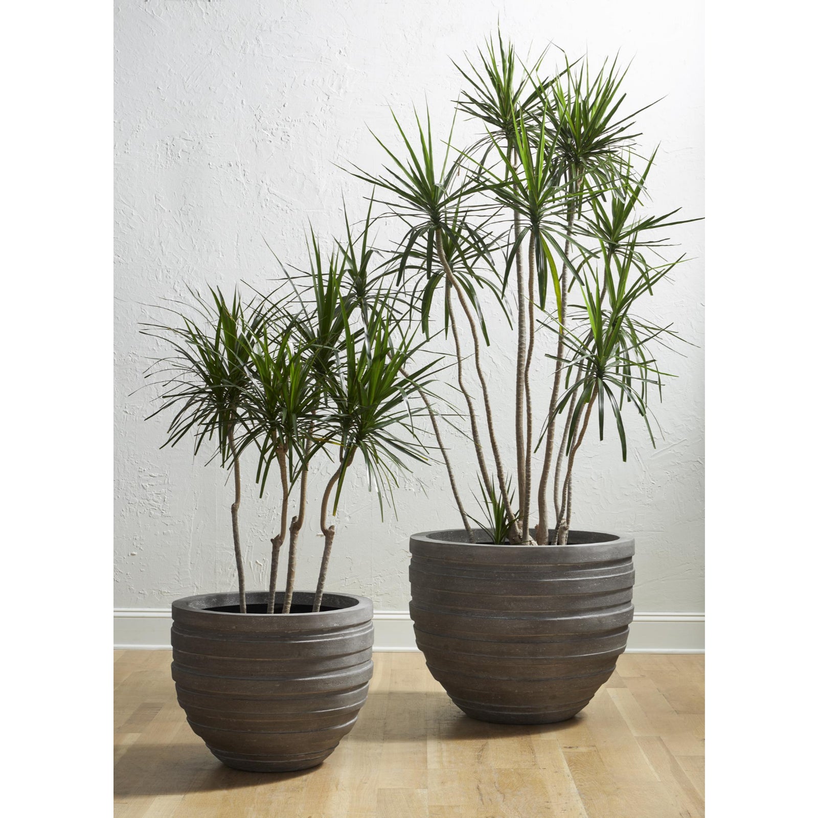 June Planter