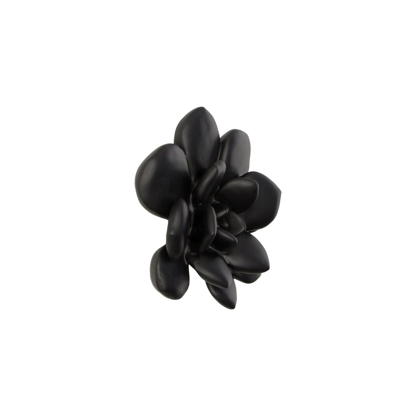 Laui Succulent Wall Art