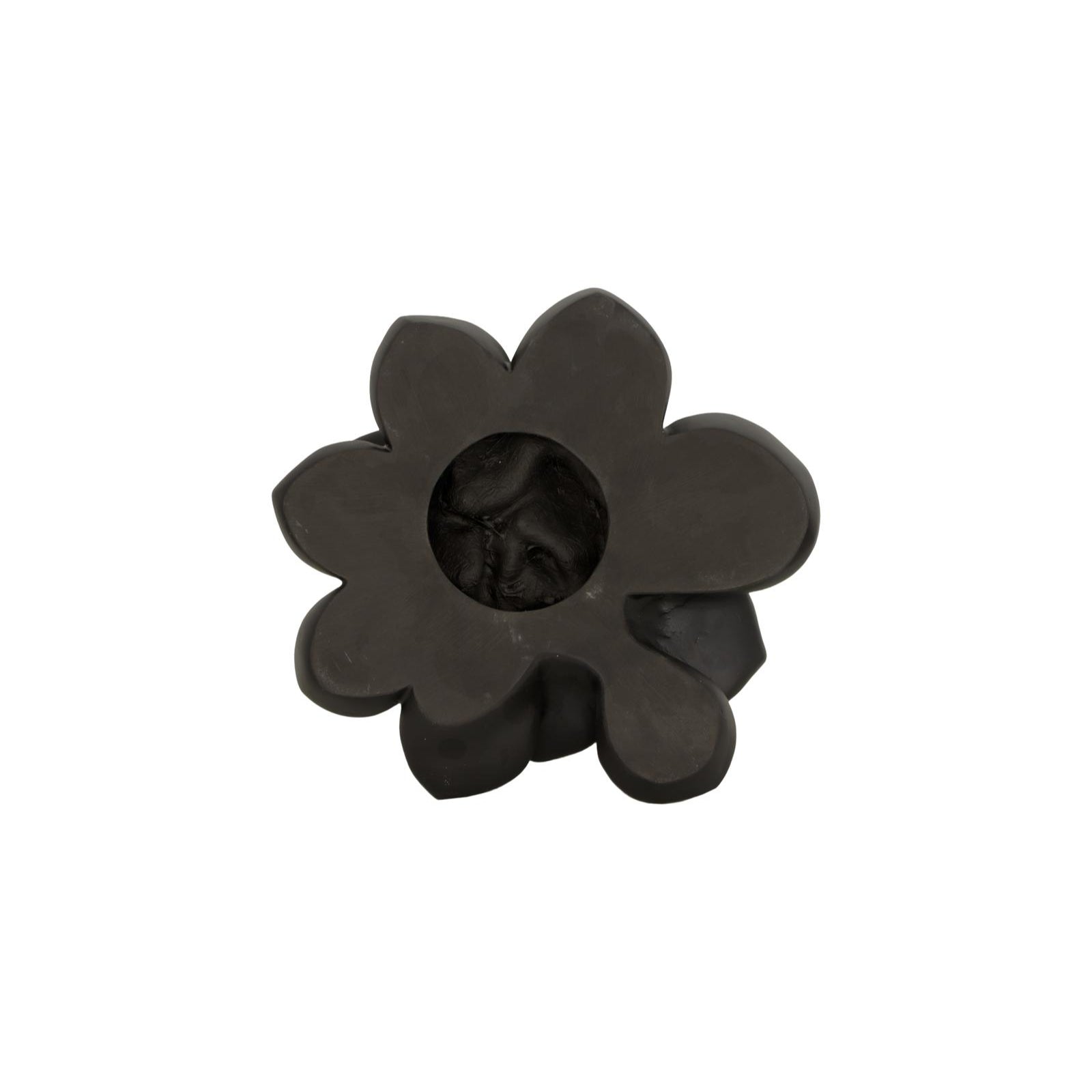 Laui Succulent Wall Art