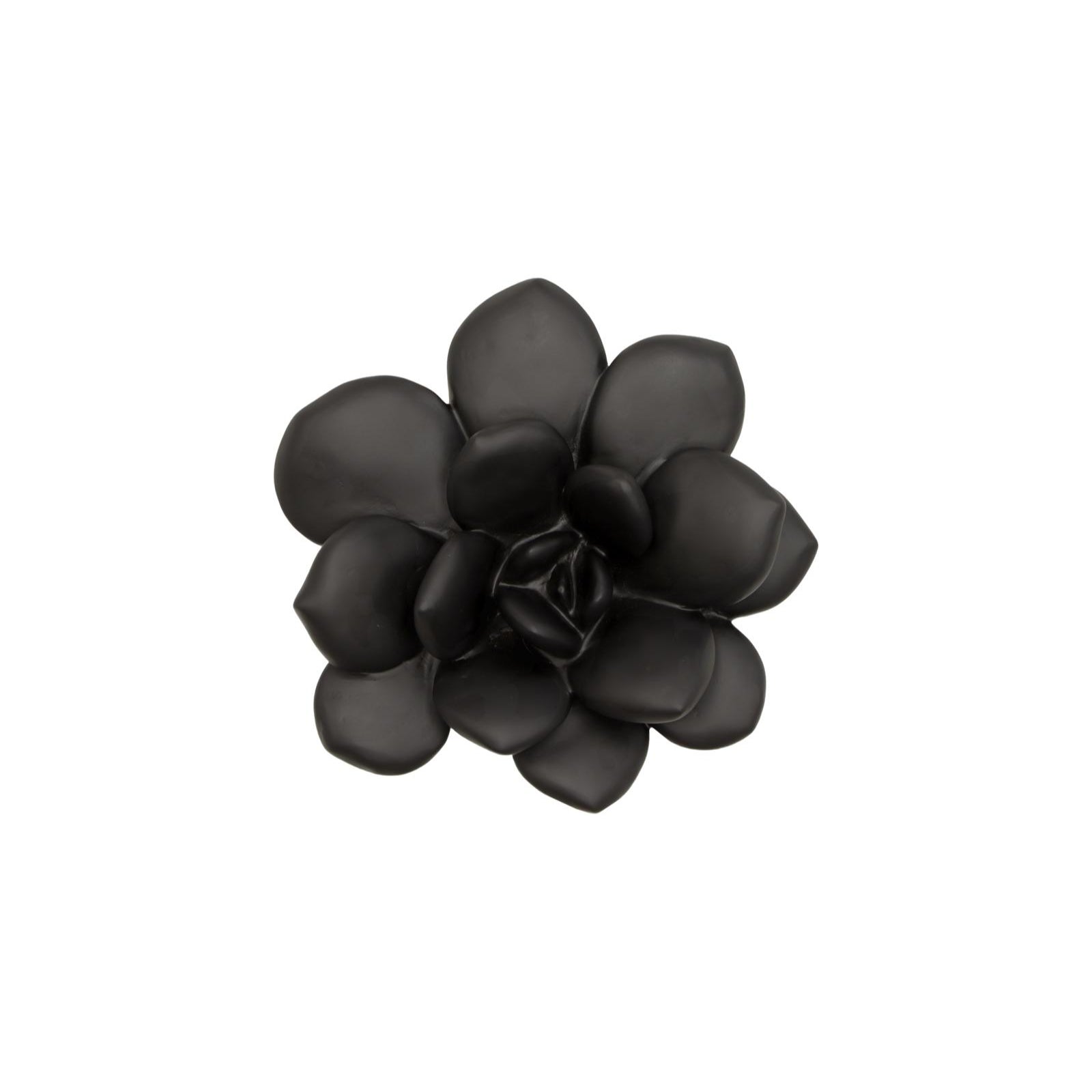 Laui Succulent Wall Art