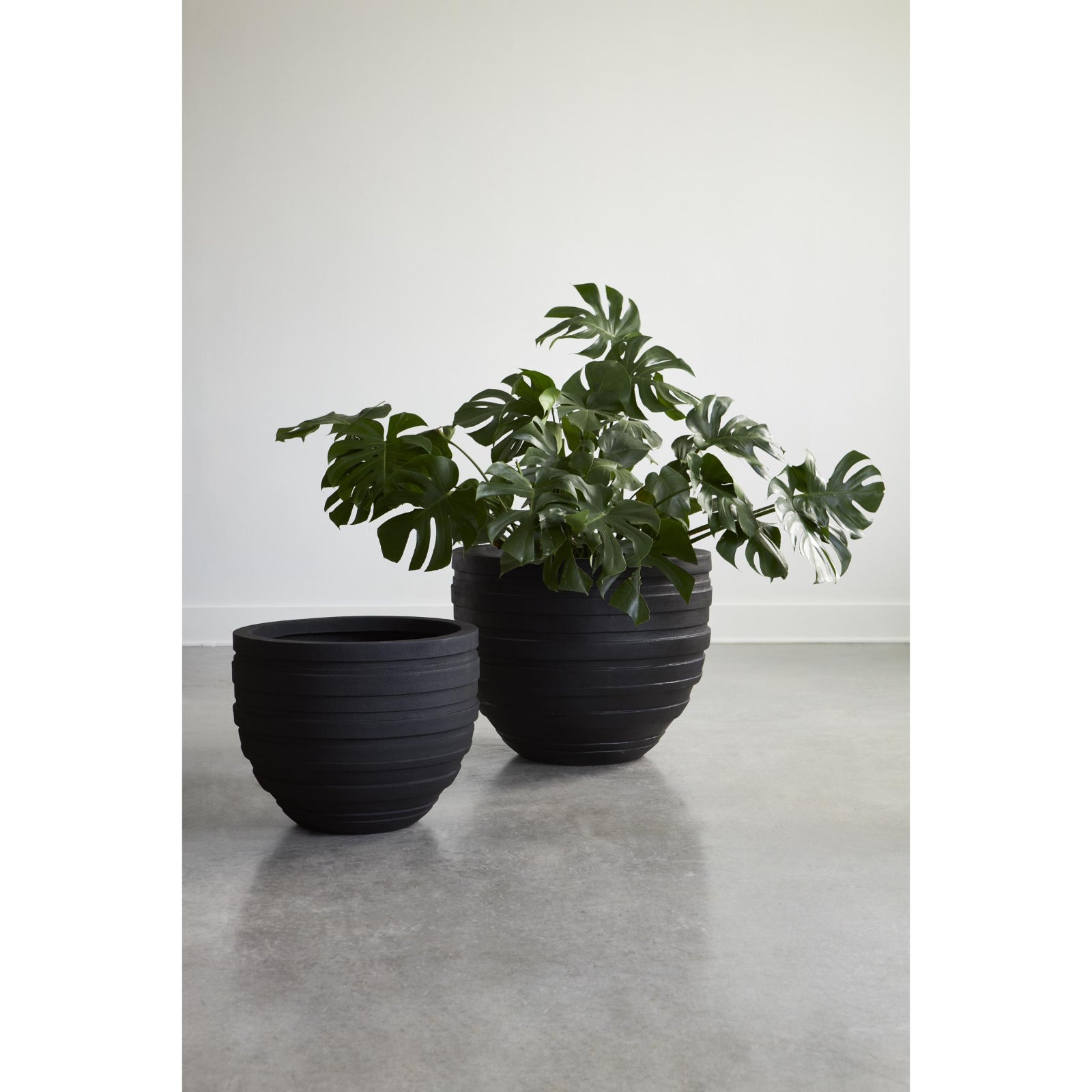 June Planter