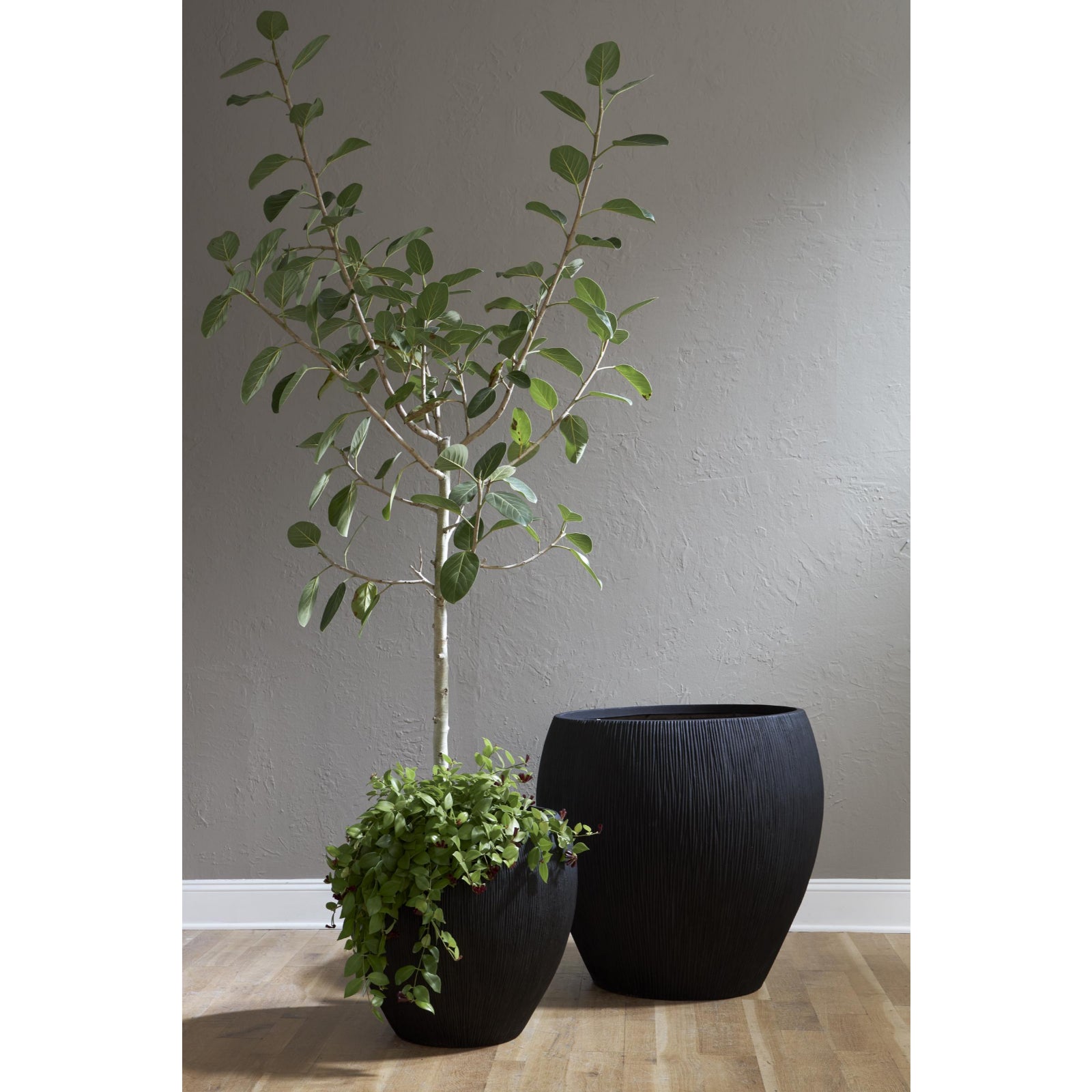 Filament Planter