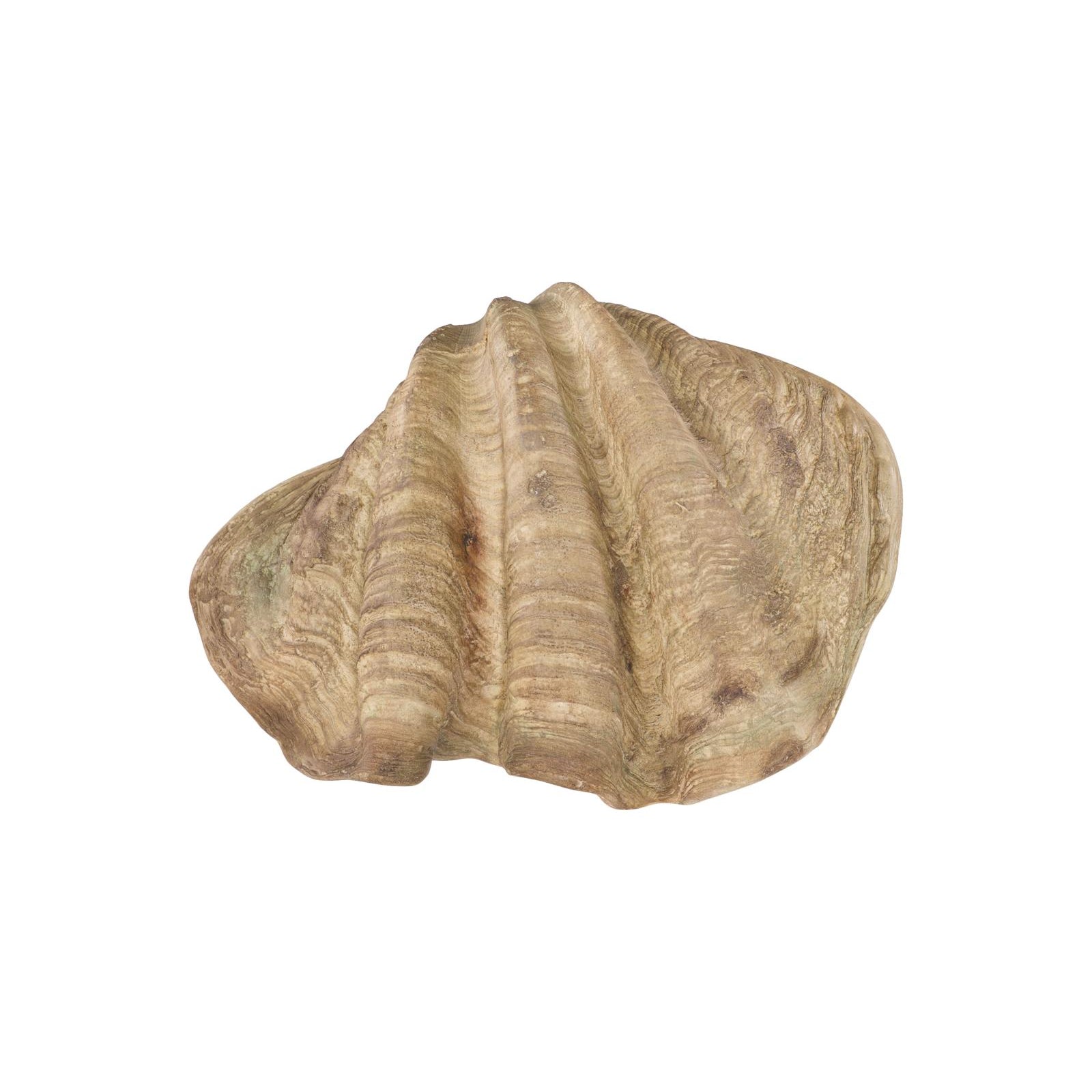 Cast Clam Shell Bowl - Faux Finish