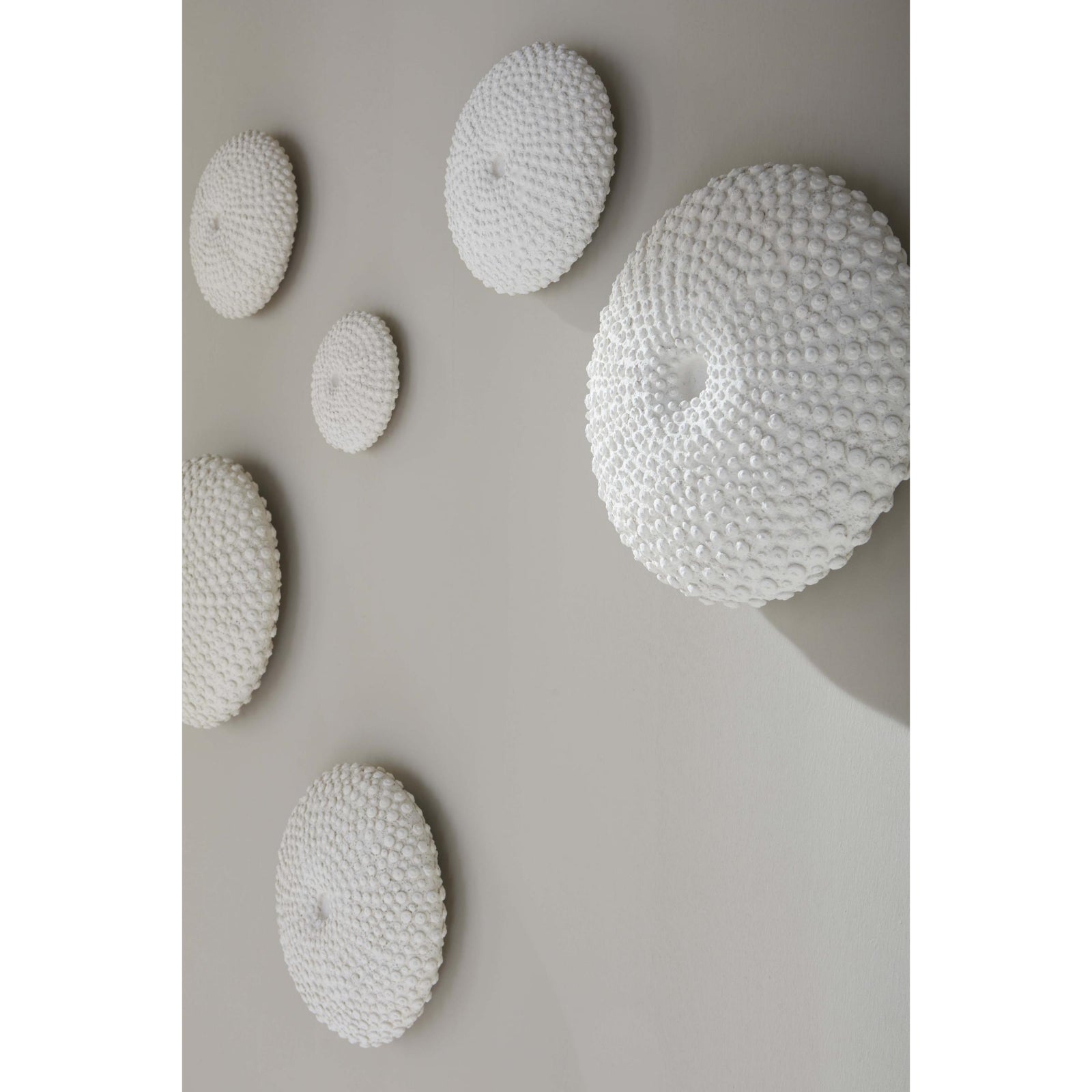 Sea Urchin Wall Art - Set of 4