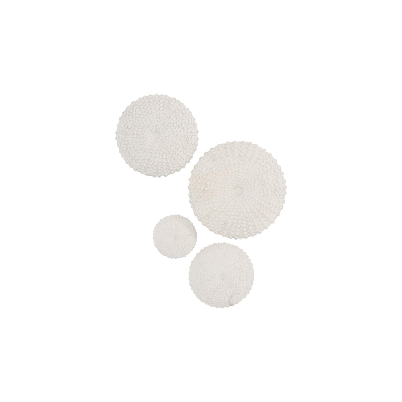 Sea Urchin Wall Art - Set of 4