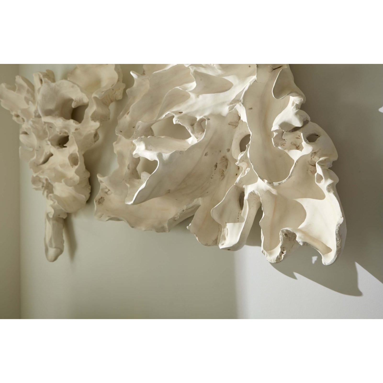 Contour Cast Root Triangle Wall Art