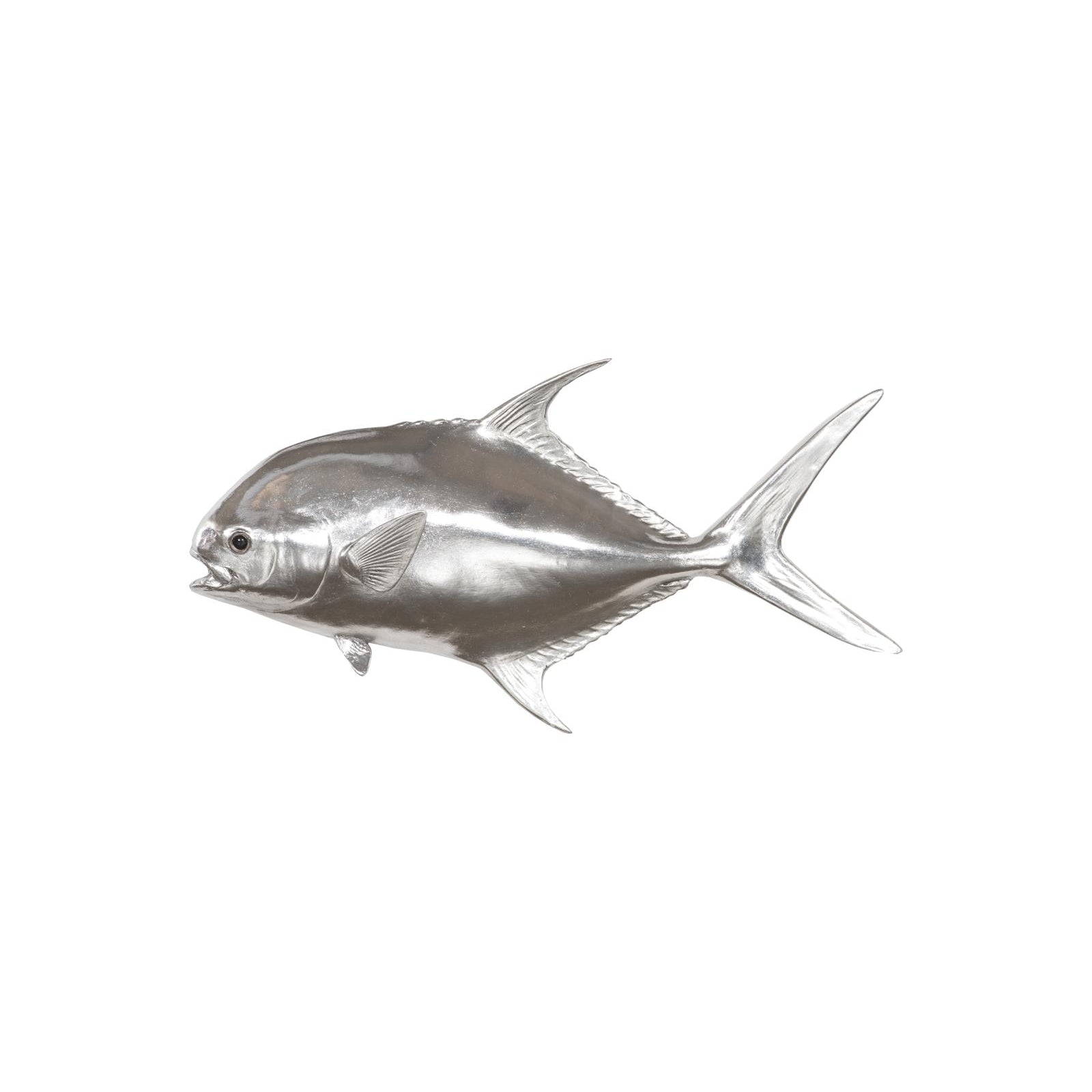 Permit Fish