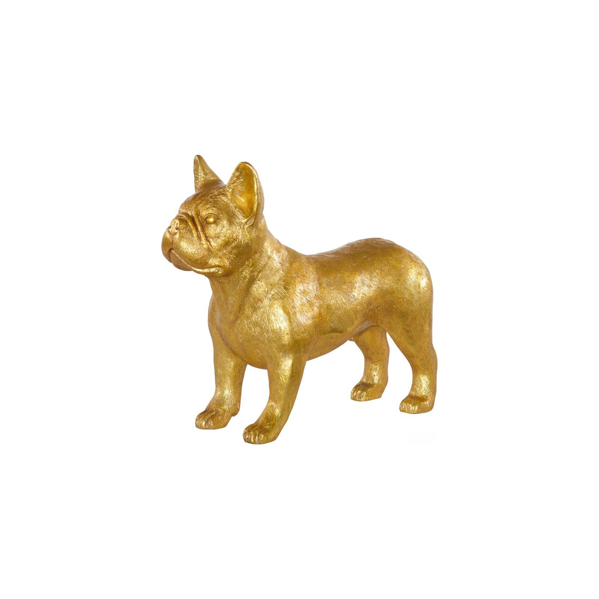 French Bulldog by Phillips Collection