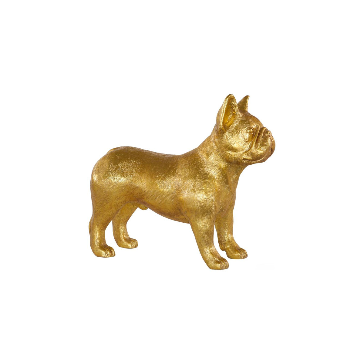 French Bulldog by Phillips Collection