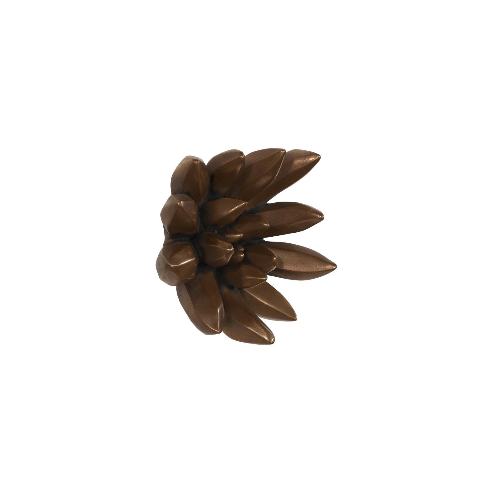 Compactum Succulent Wall Art