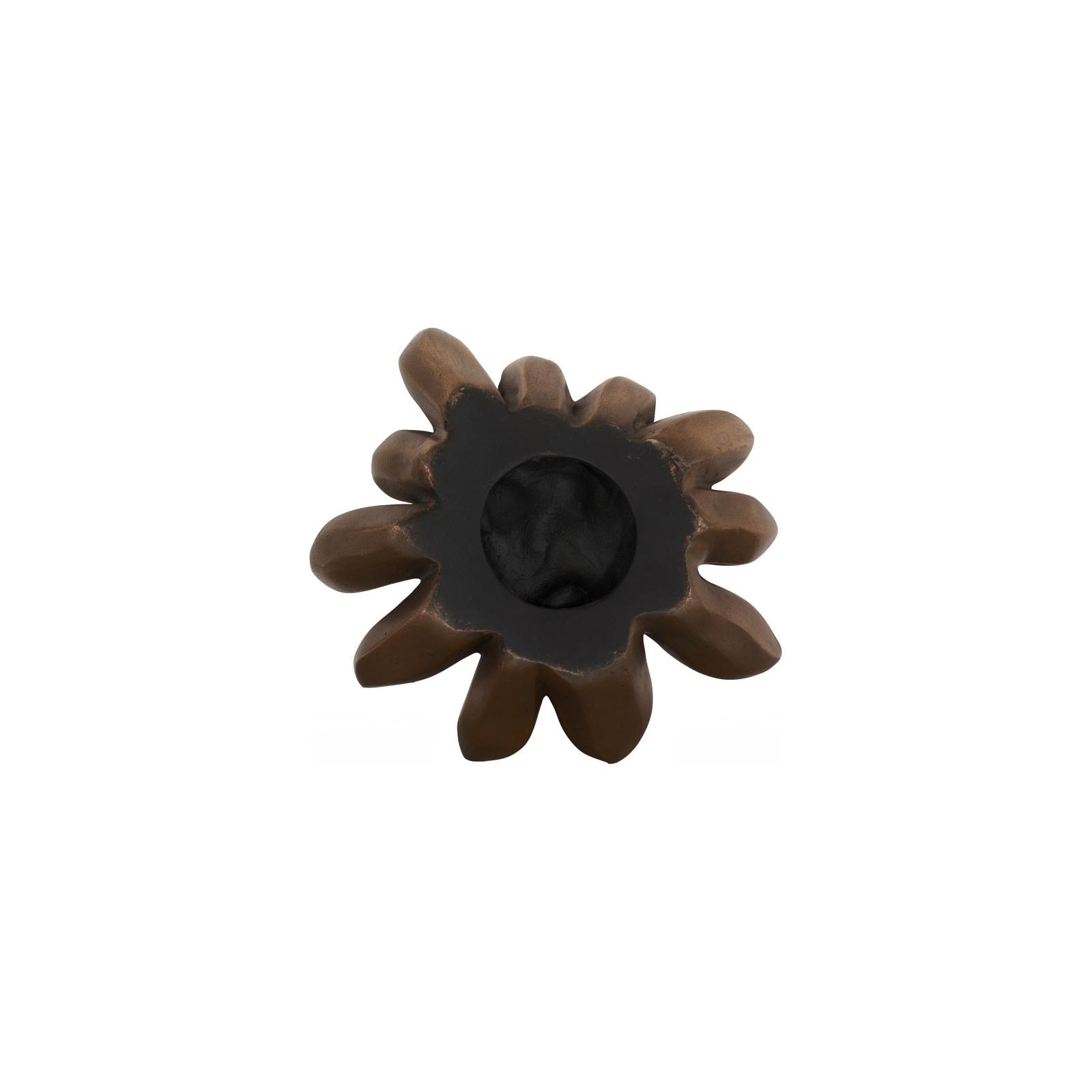 Compactum Succulent Wall Art