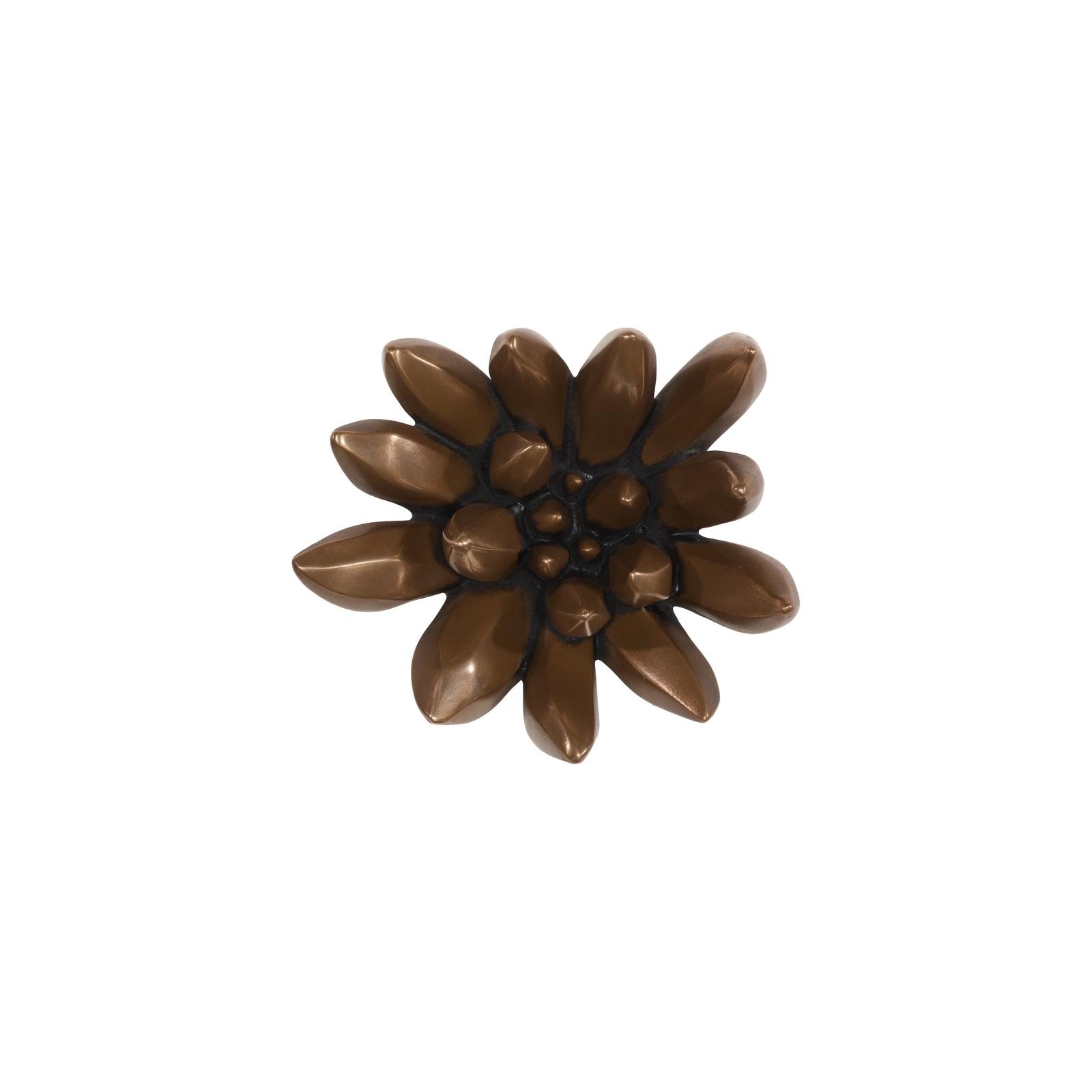 Compactum Succulent Wall Art