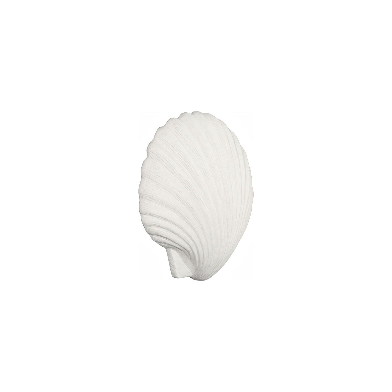 Sea Shell Wall Art