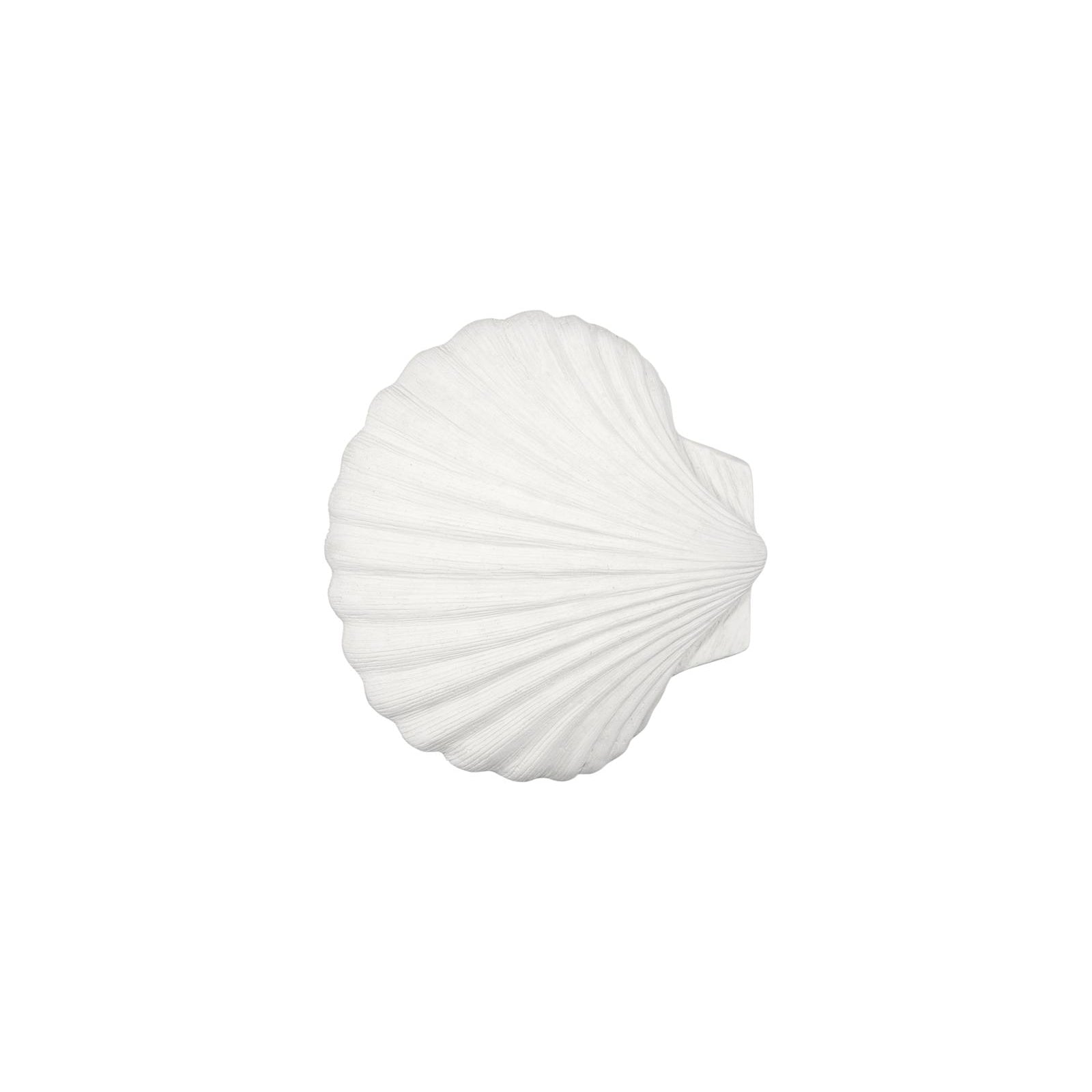 Sea Shell Wall Art