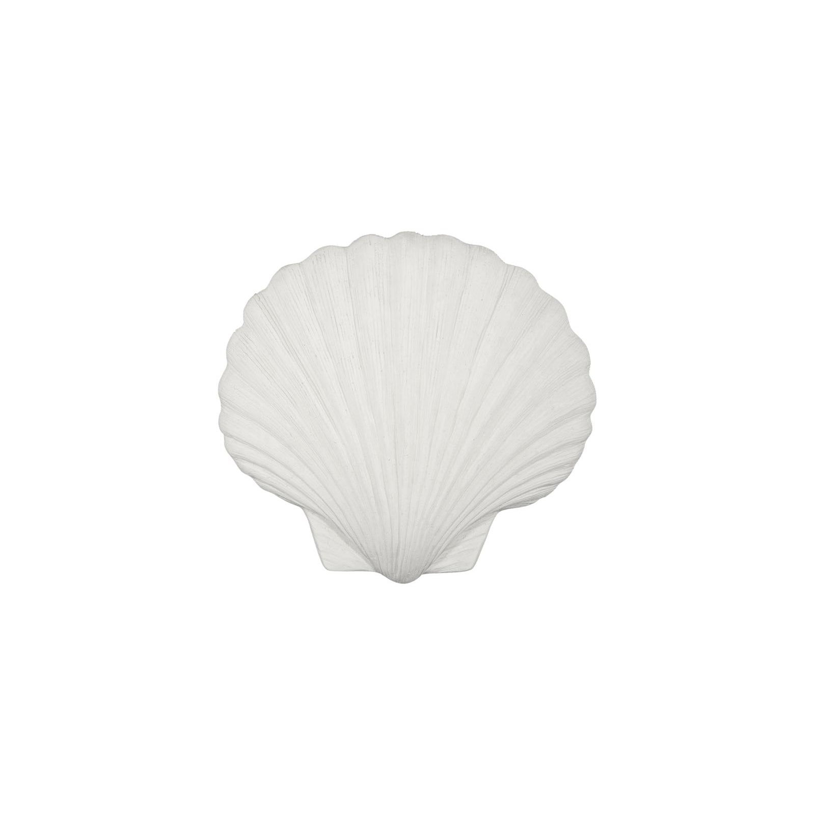 Sea Shell Wall Art