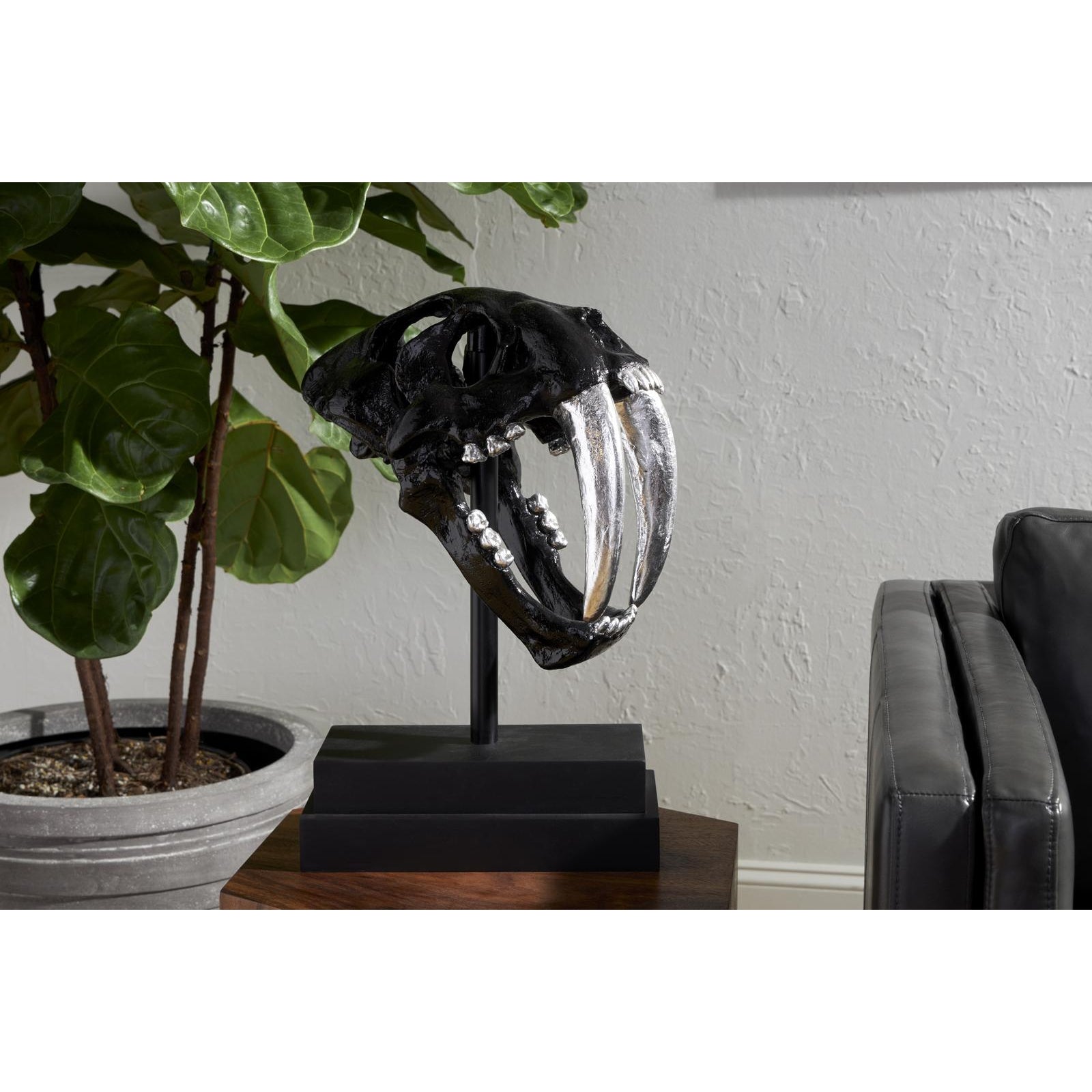 Saber Tooth Tiger Skull