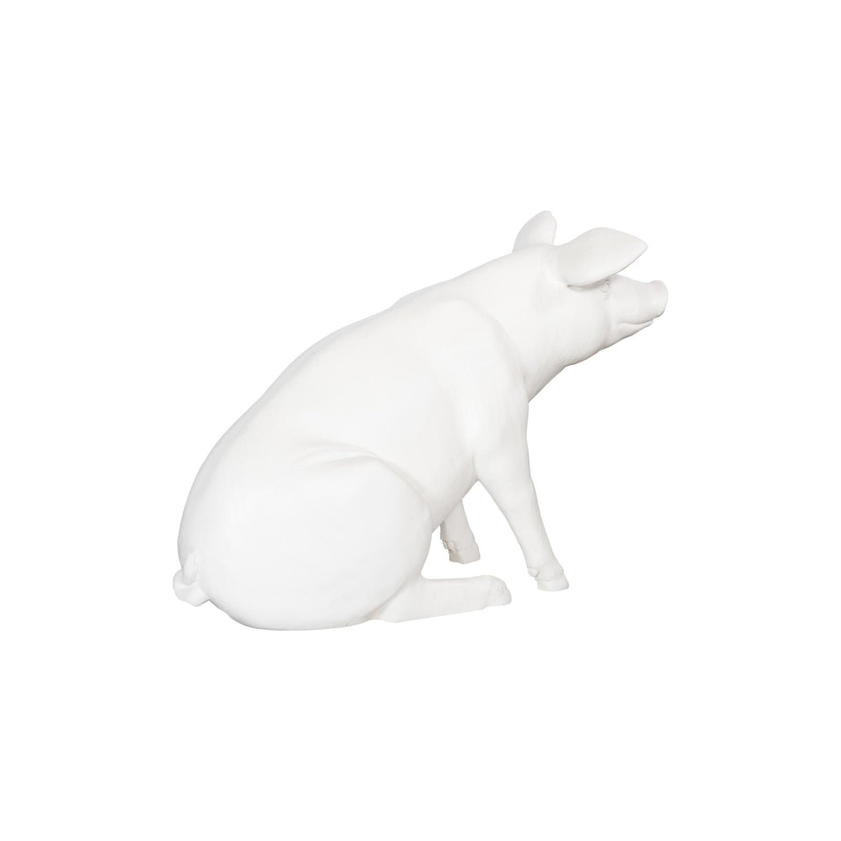 Happy Pig by Phillips Collection