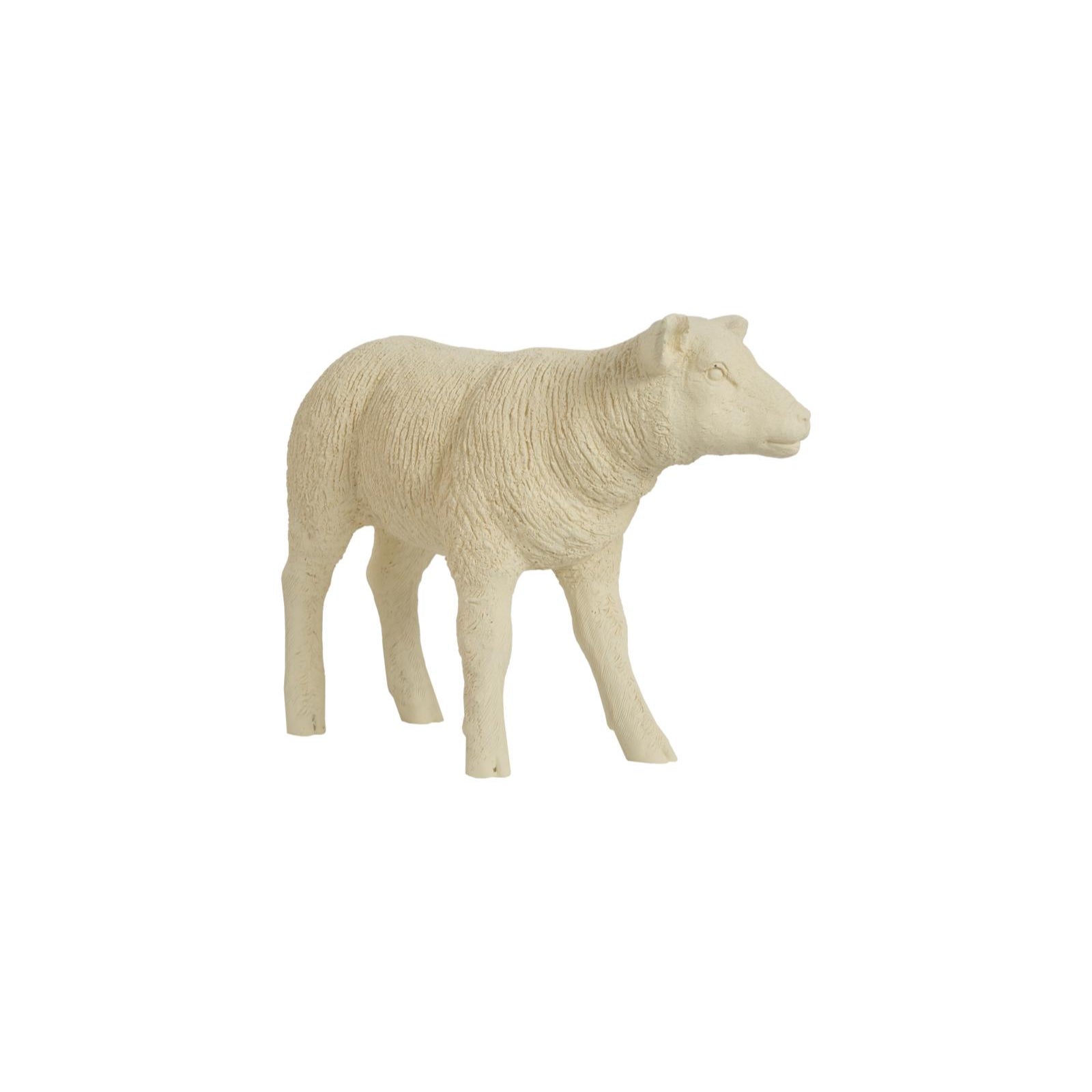 Texelaar Sheep