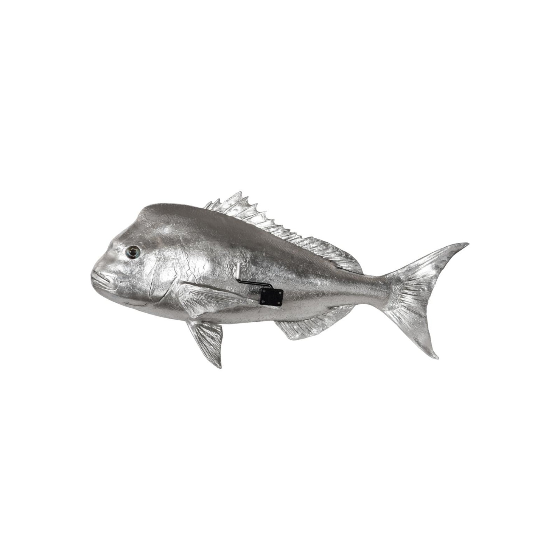 Australian Snapper Fish Wall Sculpture