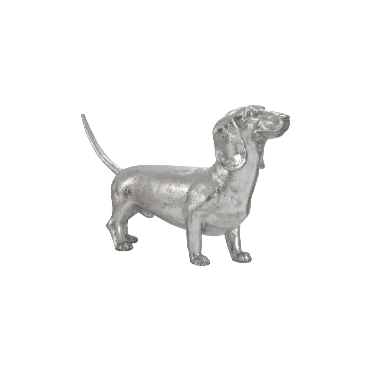 Dachshund by Phillips Collection