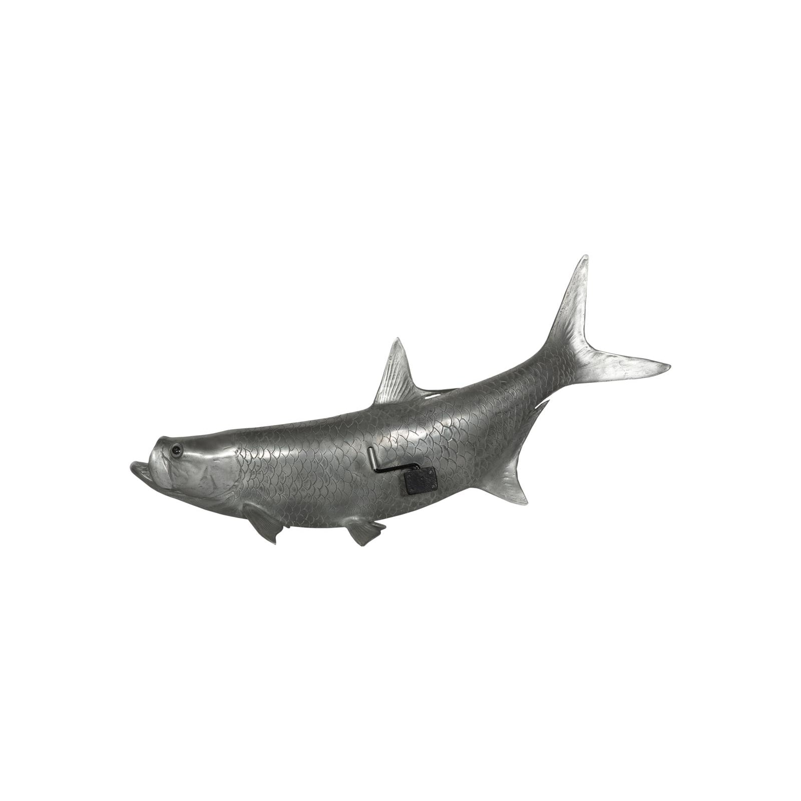 Tarpon Fish