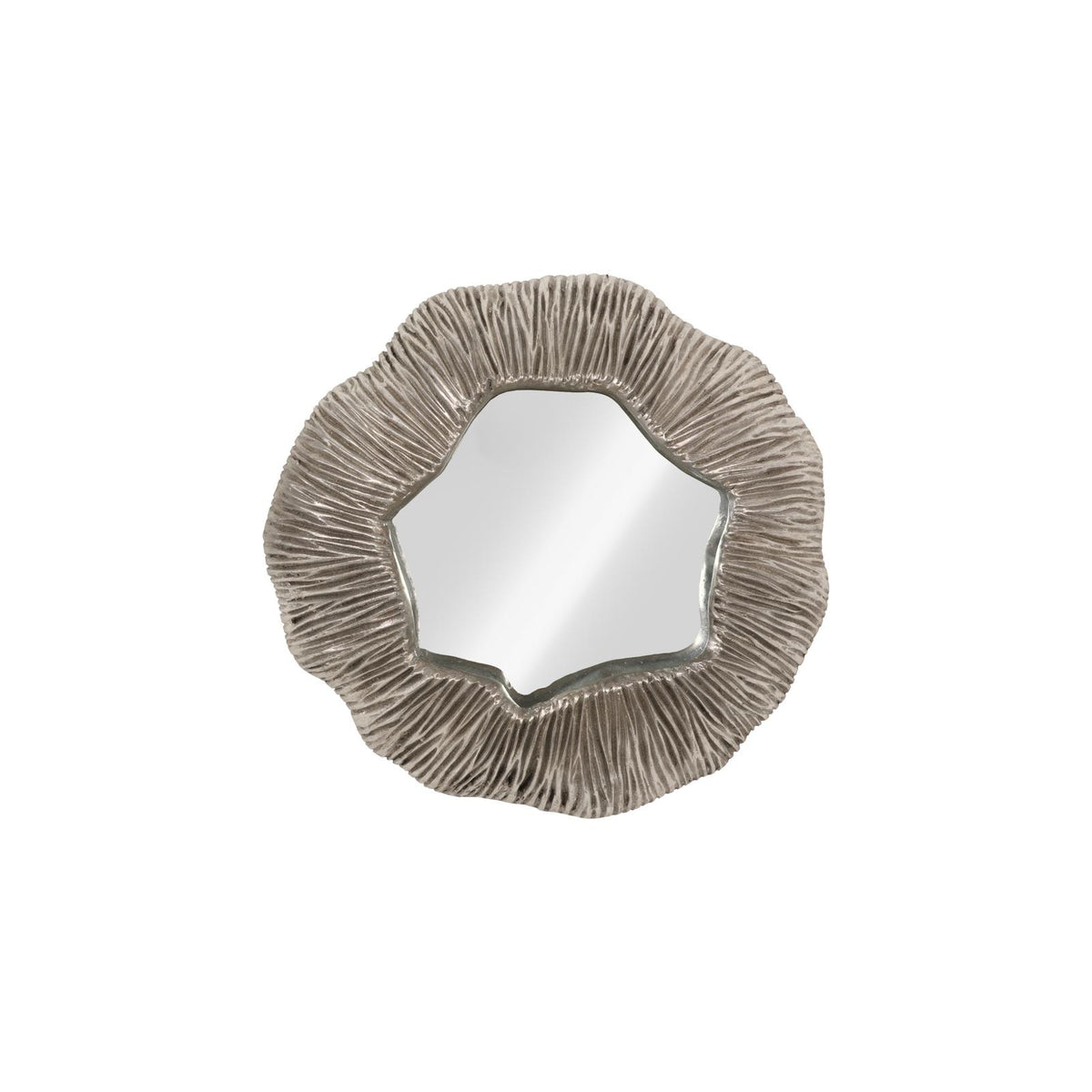 Fungia Sculpture by Phillips Collection