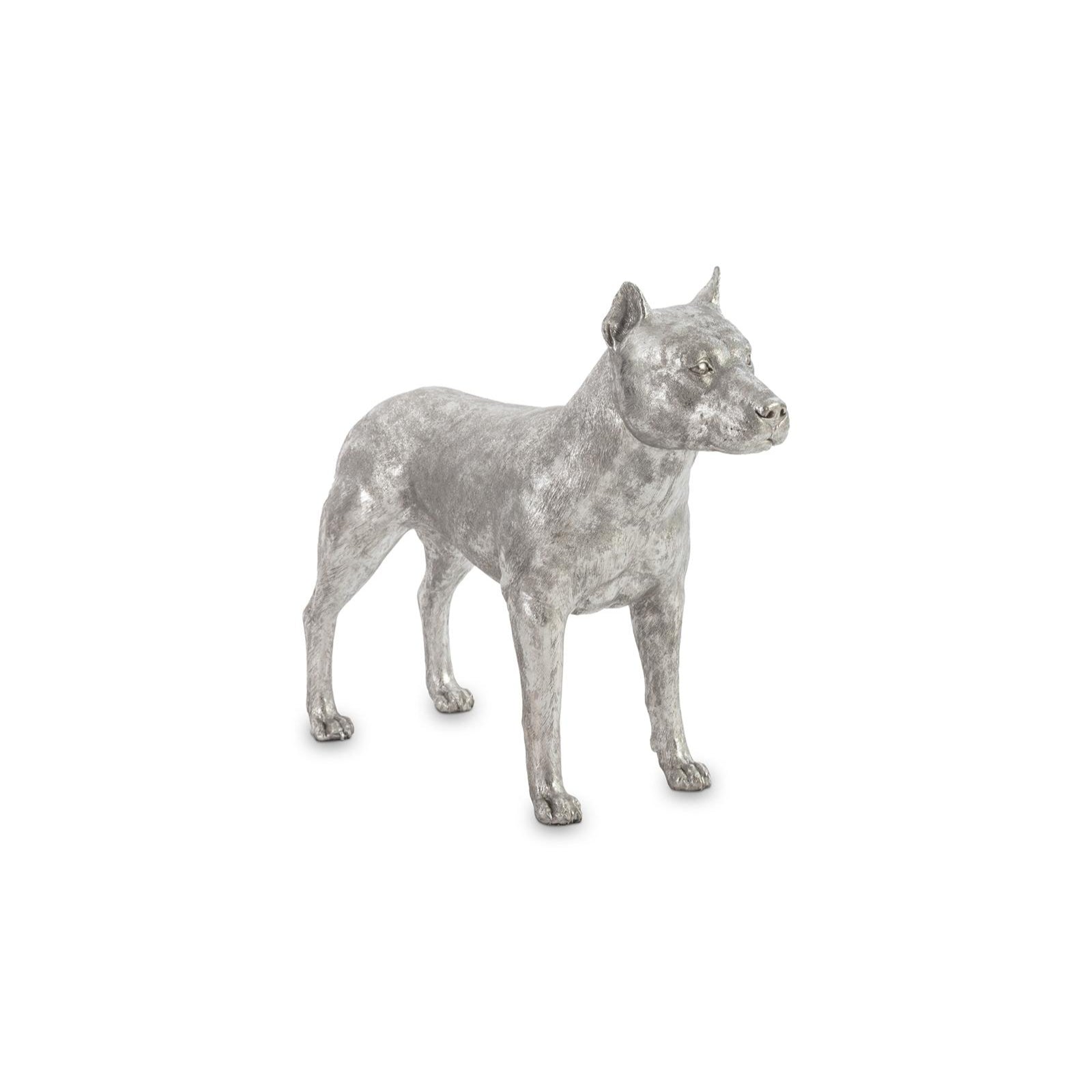 Pit Bull