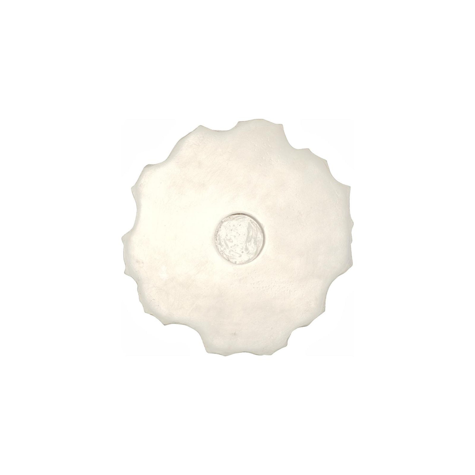 Barnacle Wall Art
