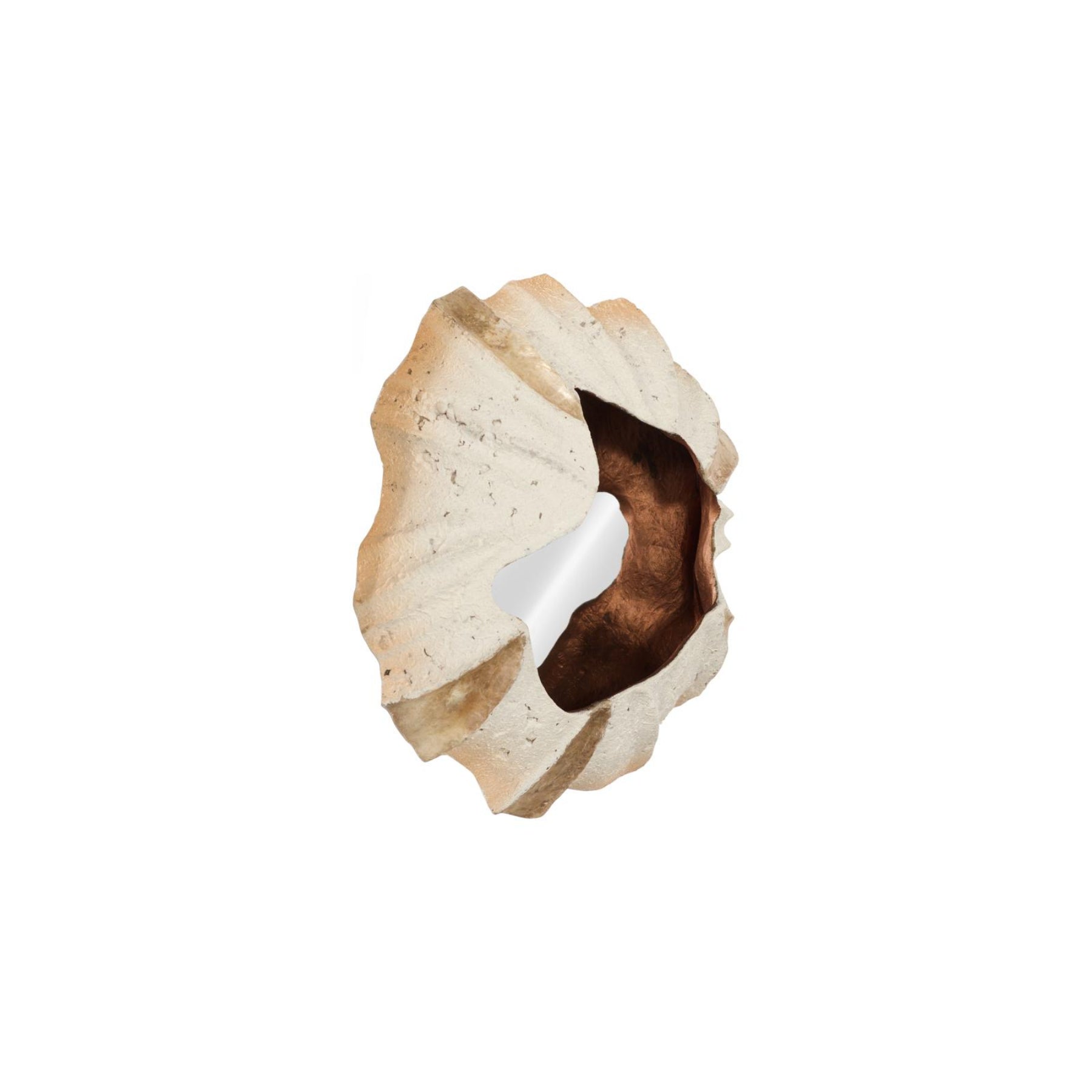 Barnacle Wall Art