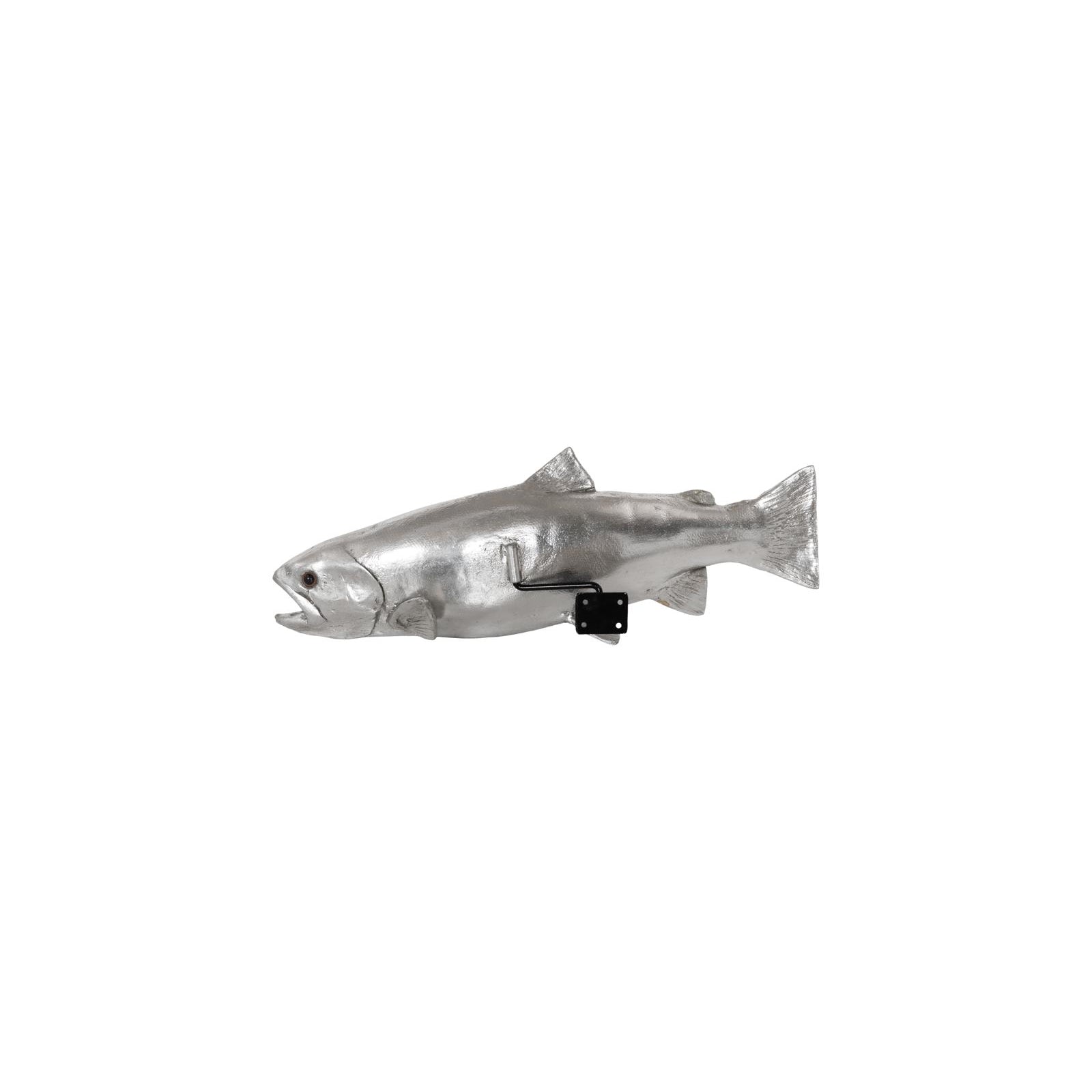 Rainbow Trout Fish