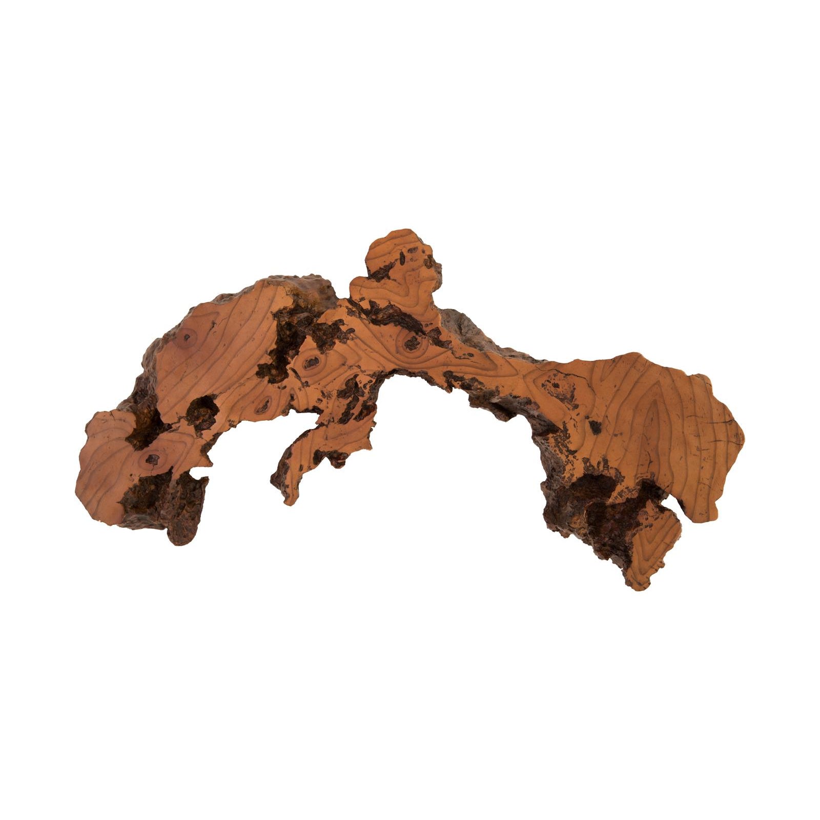 Burled Root Wall Art - Medium