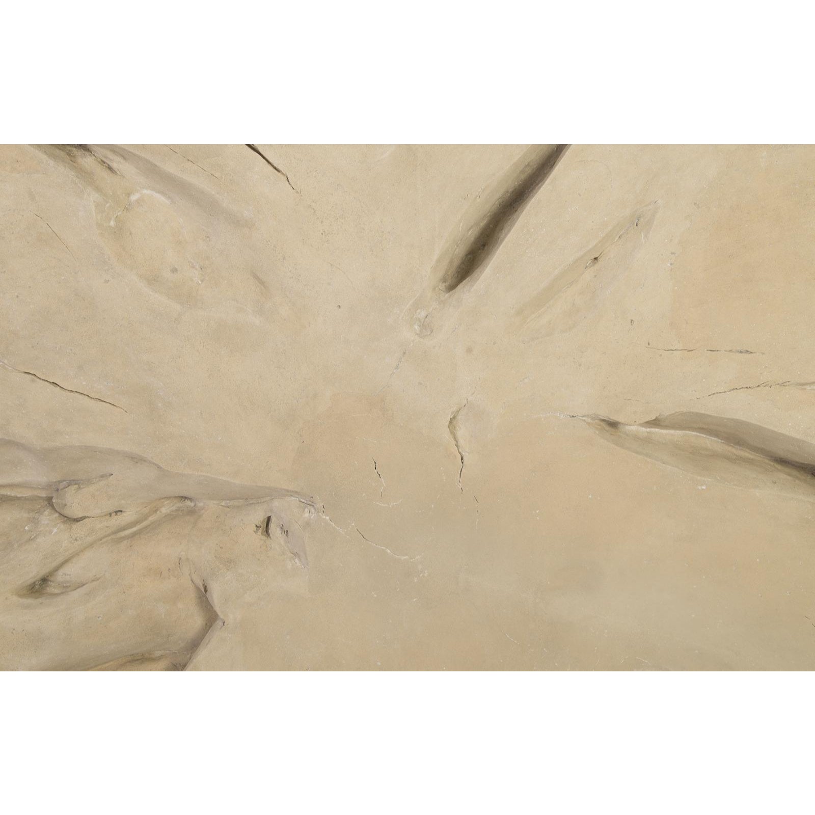 Colossal Freeform Wall Art - Large