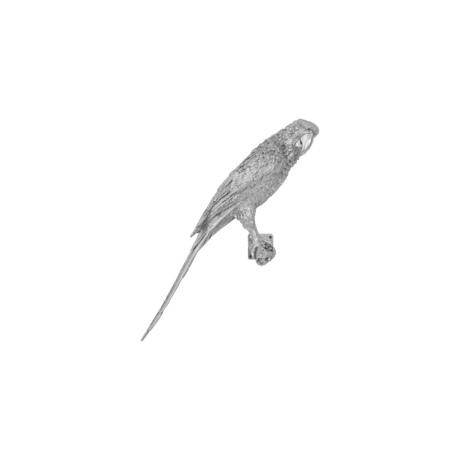 Parrot Looking Right Wall Art