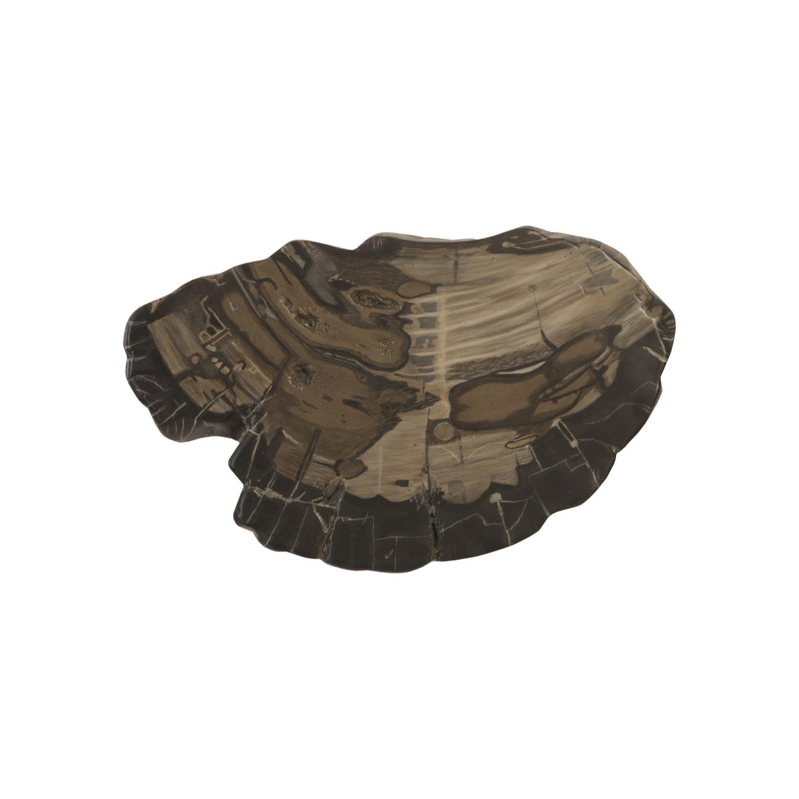 Cast Large Brown Petrified Wood Wall Tile