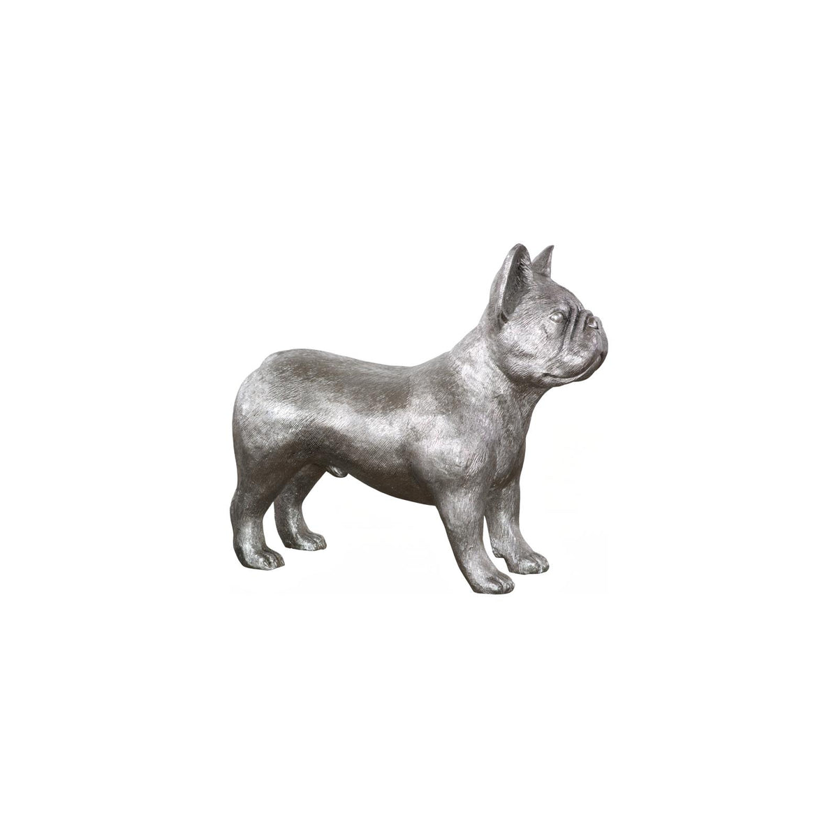 French Bulldog by Phillips Collection