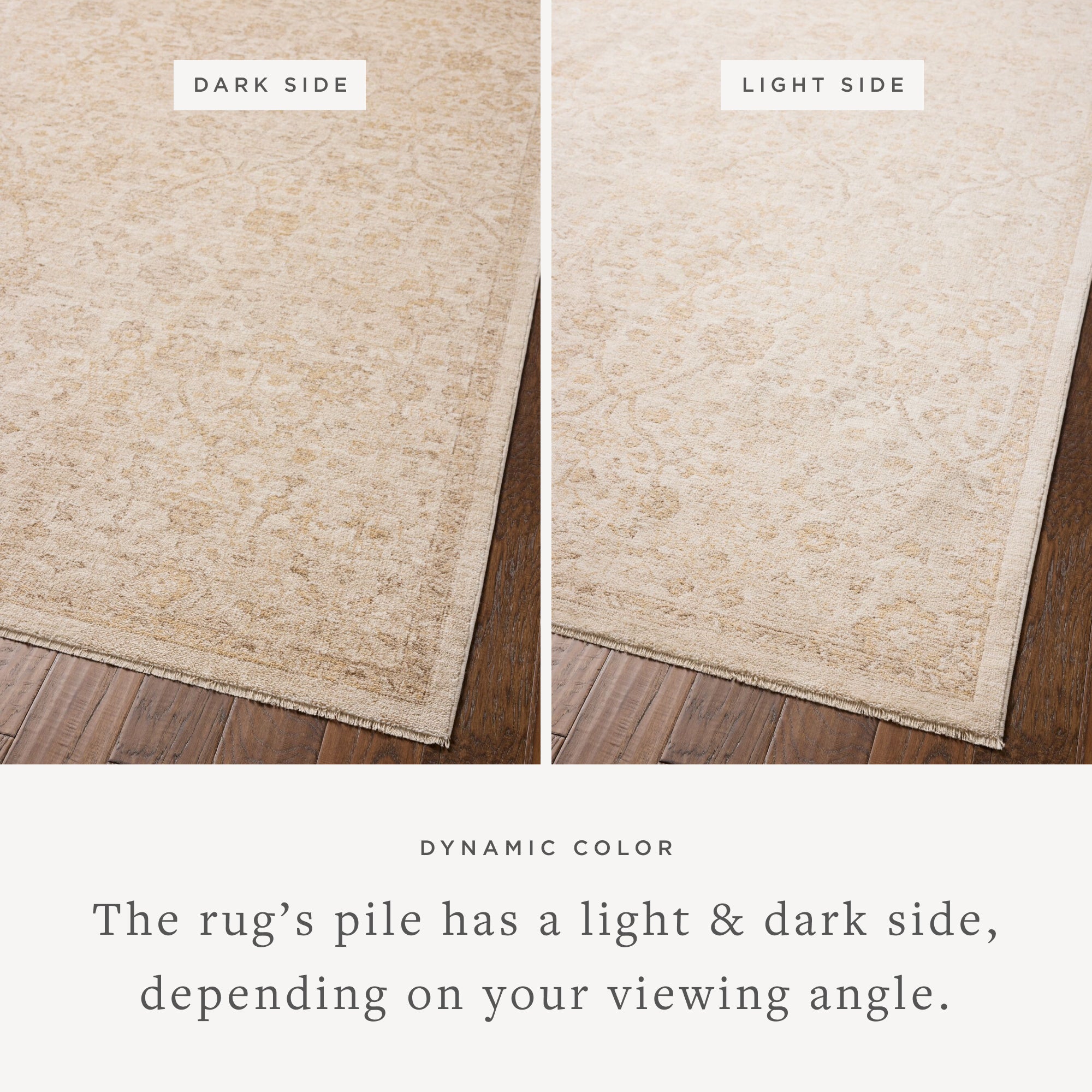 Chris Loves Julia x Loloi Palma Ivory/Sand Rug
