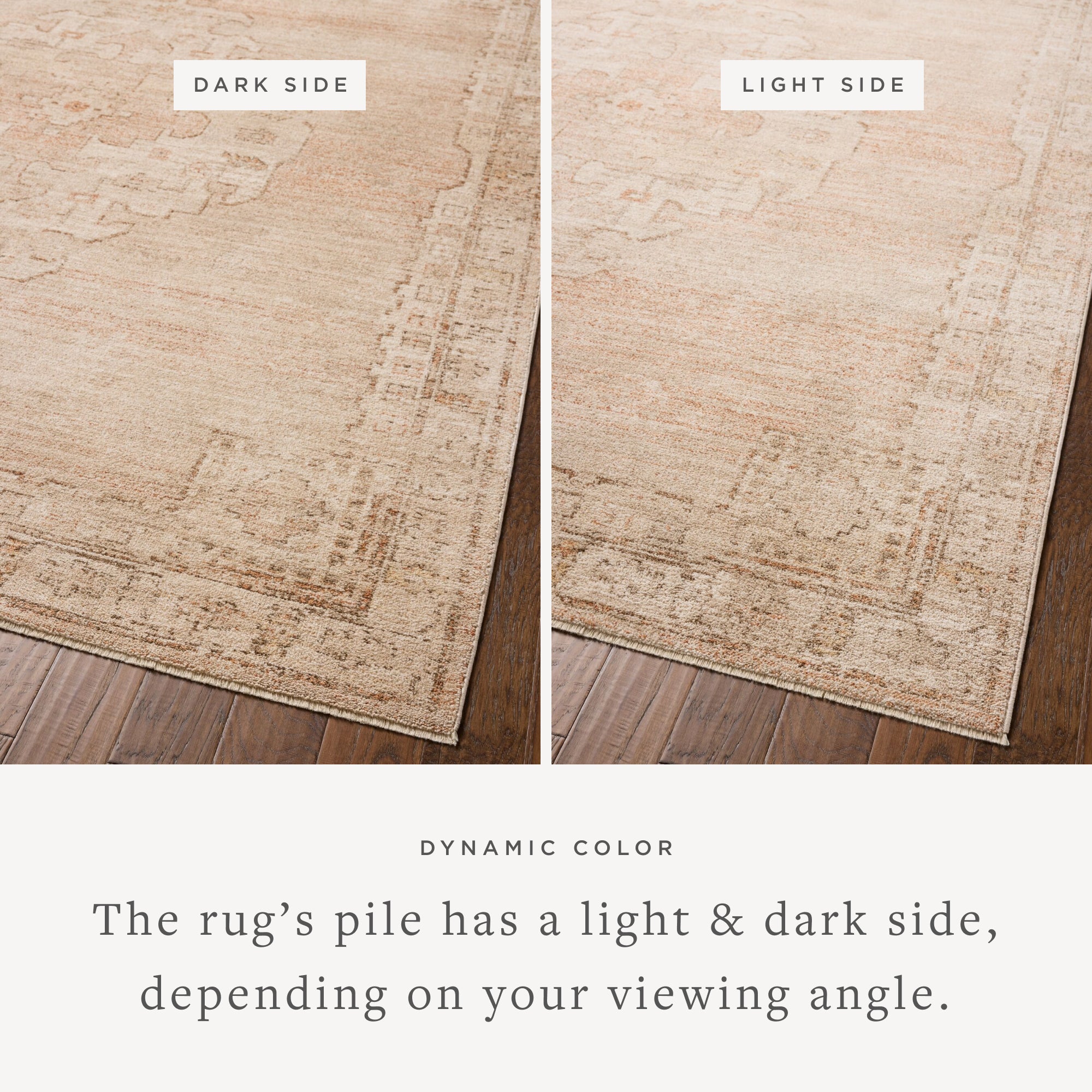 Chris Loves Julia x Loloi Palma Spice/Natural Rug